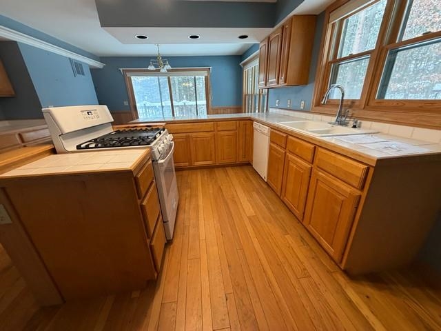 12180 Warpath Lane Property Photo 8