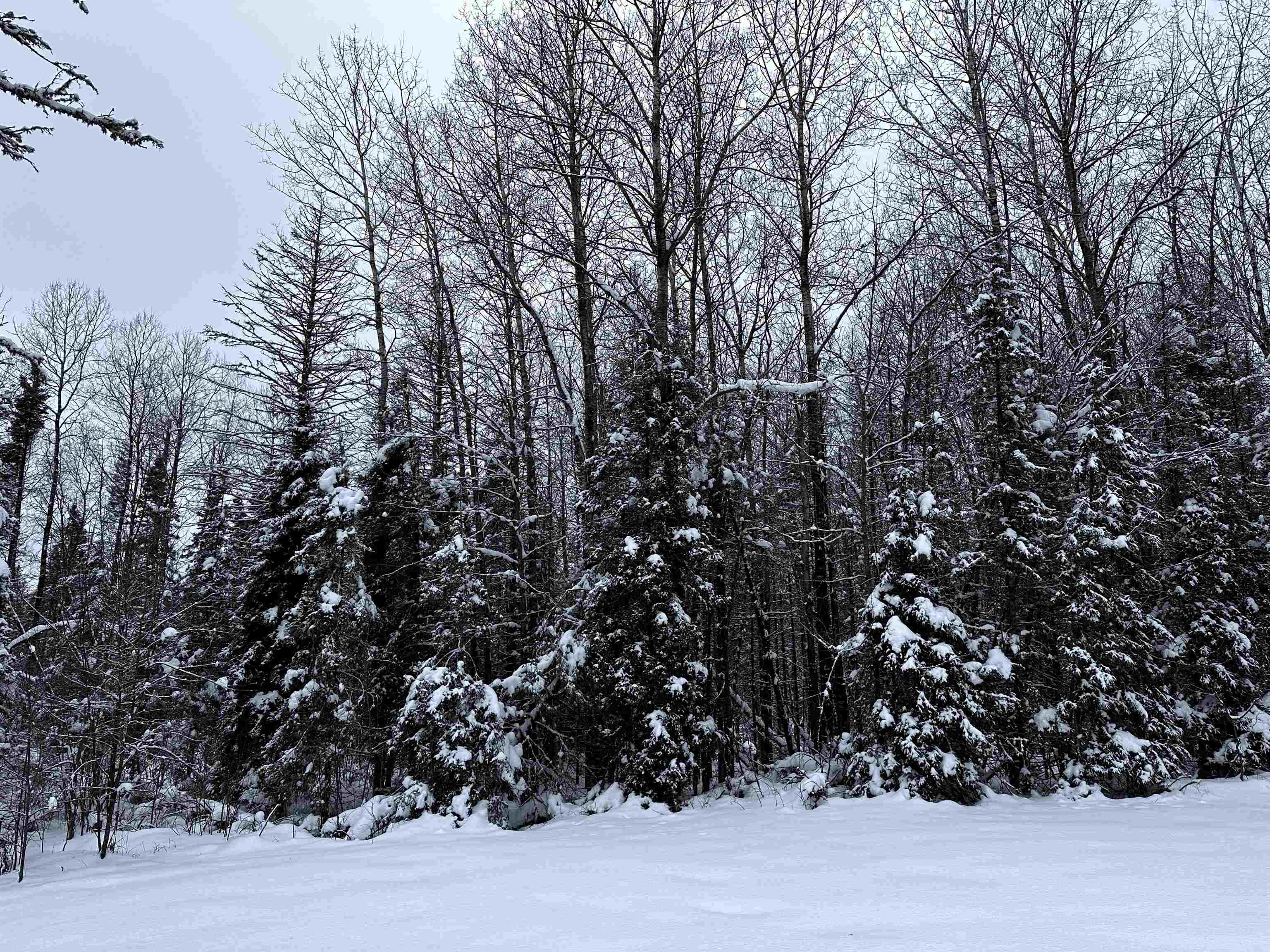 15685 Thrasher Road Property Photo 27