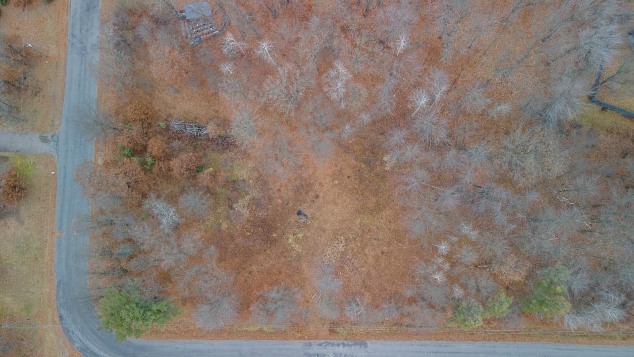 1376 Horseshoe Drive Property Photo 2