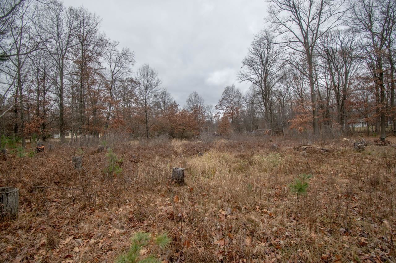 1376 Horseshoe Drive Property Photo 6