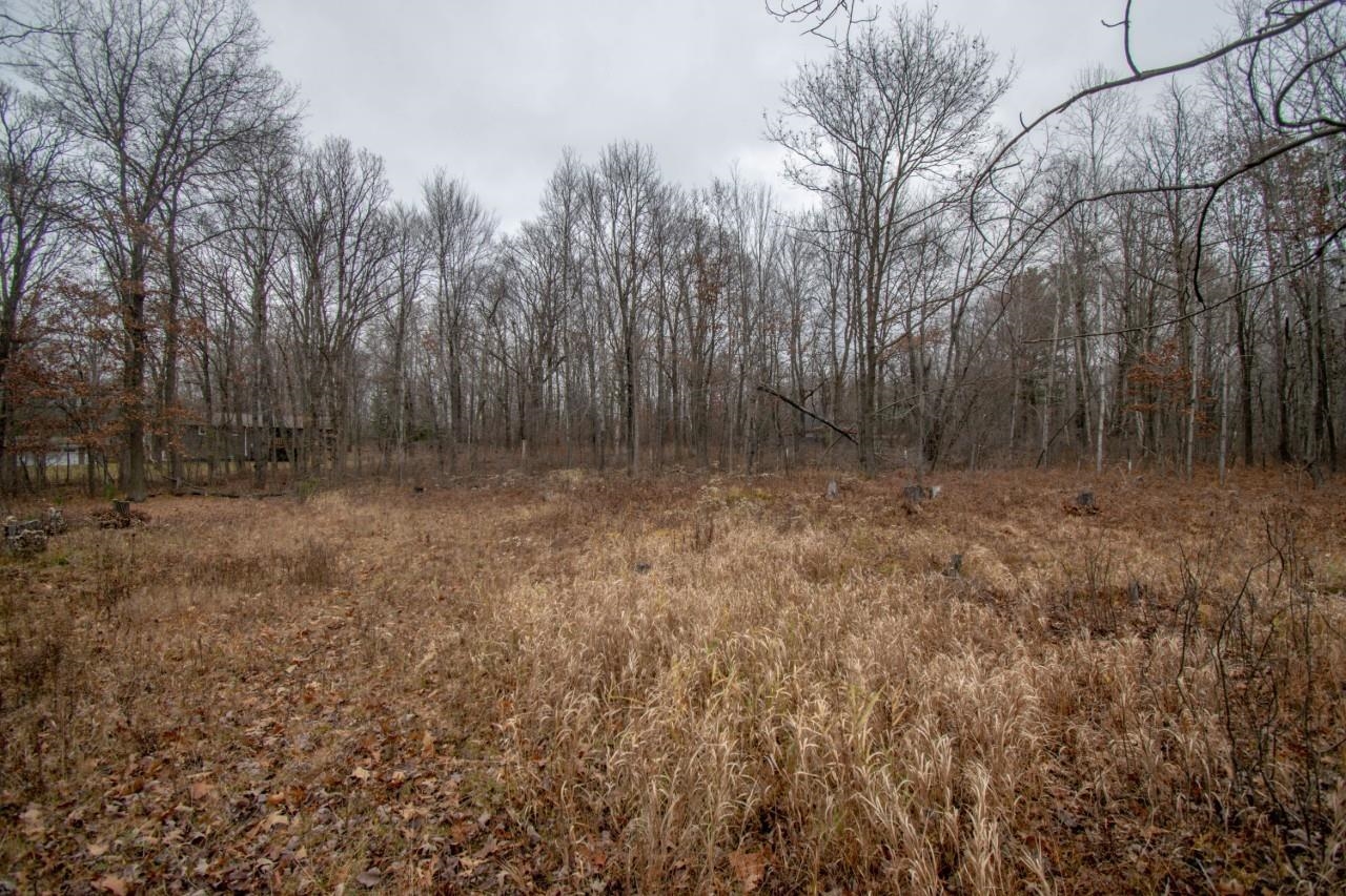1376 Horseshoe Drive Property Photo 7