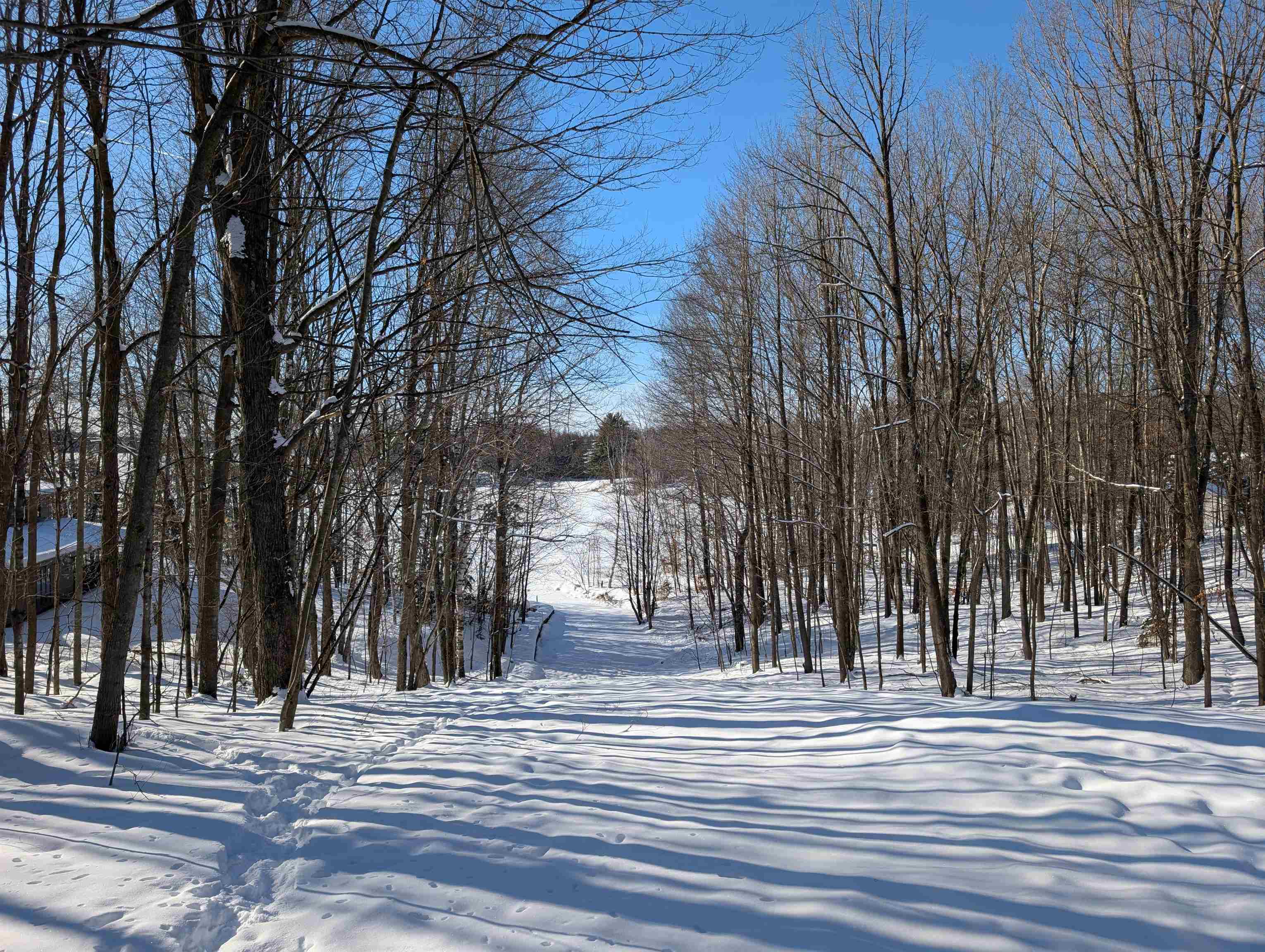 N8307 Birch Hill Road Property Photo 37