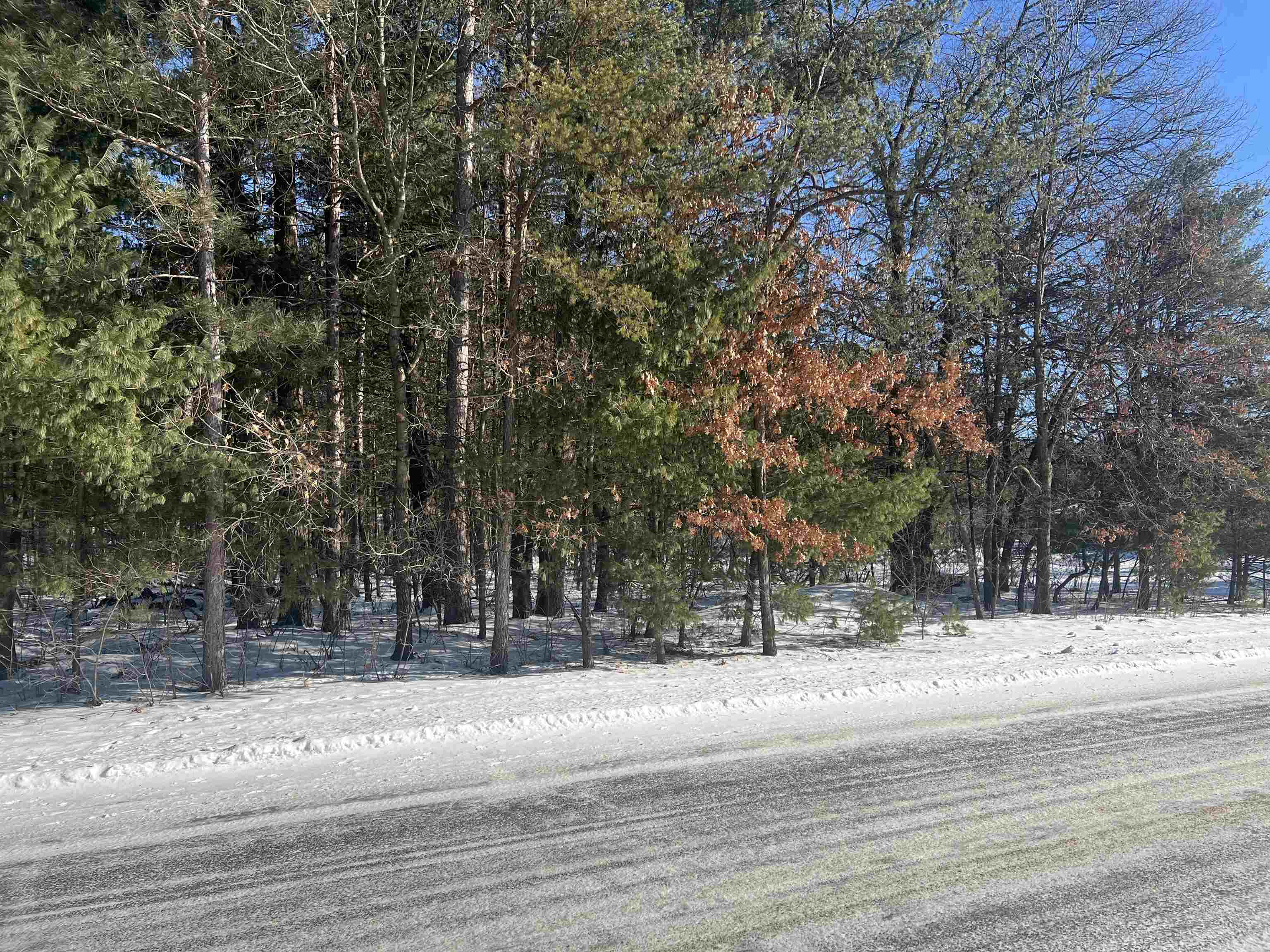 Grant Road Property Photo 3