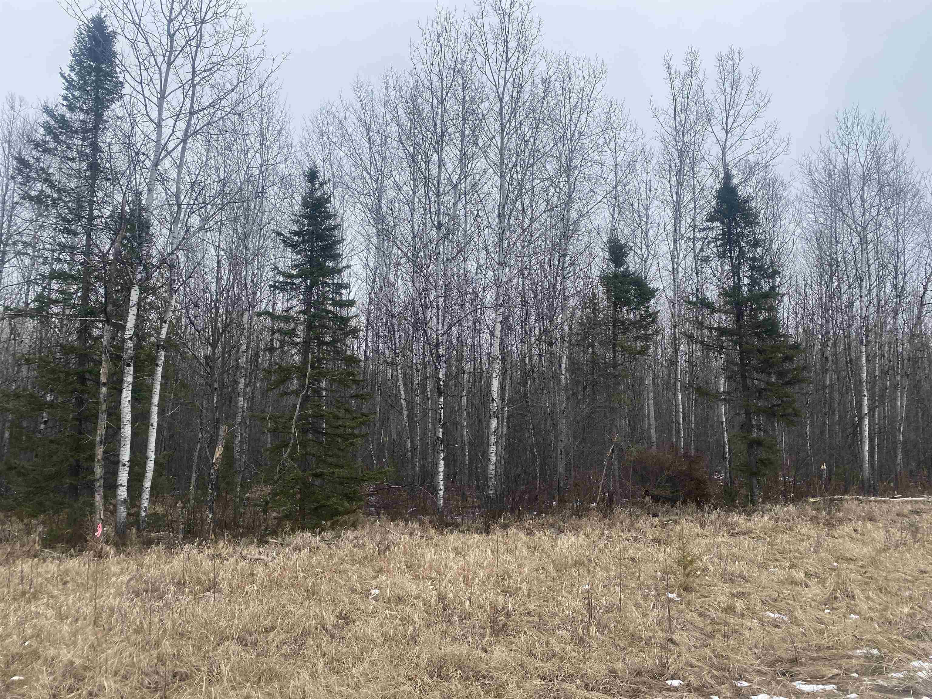 On County Road E Property Photo 4