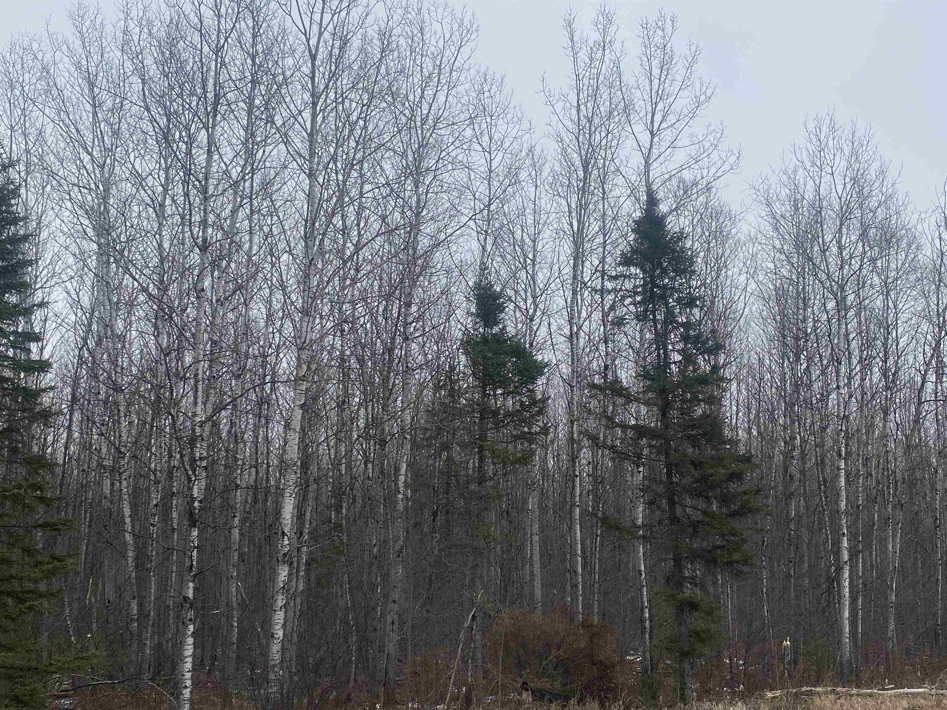 On County Road E Property Photo 5