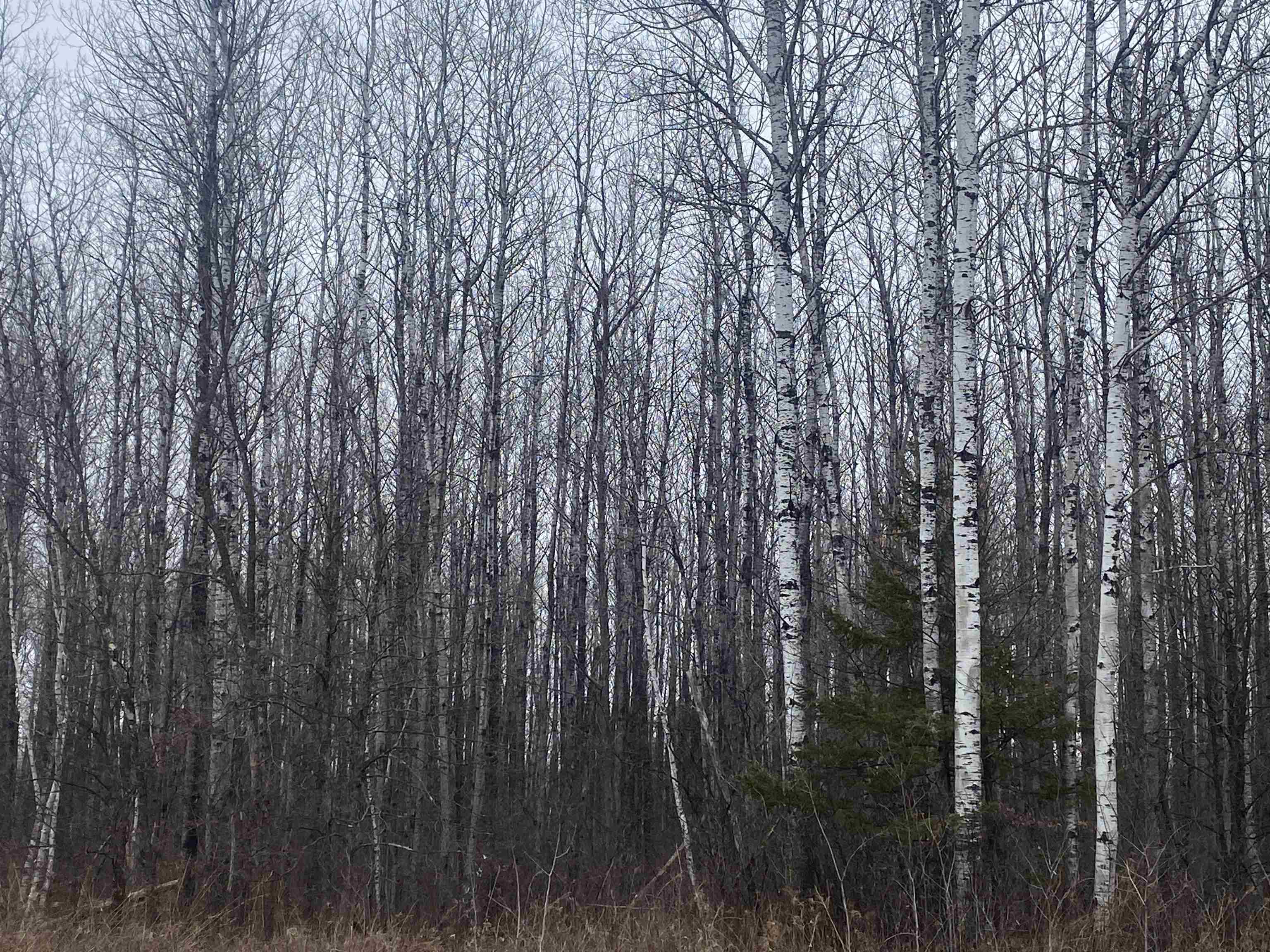 On County Road E Property Photo 2