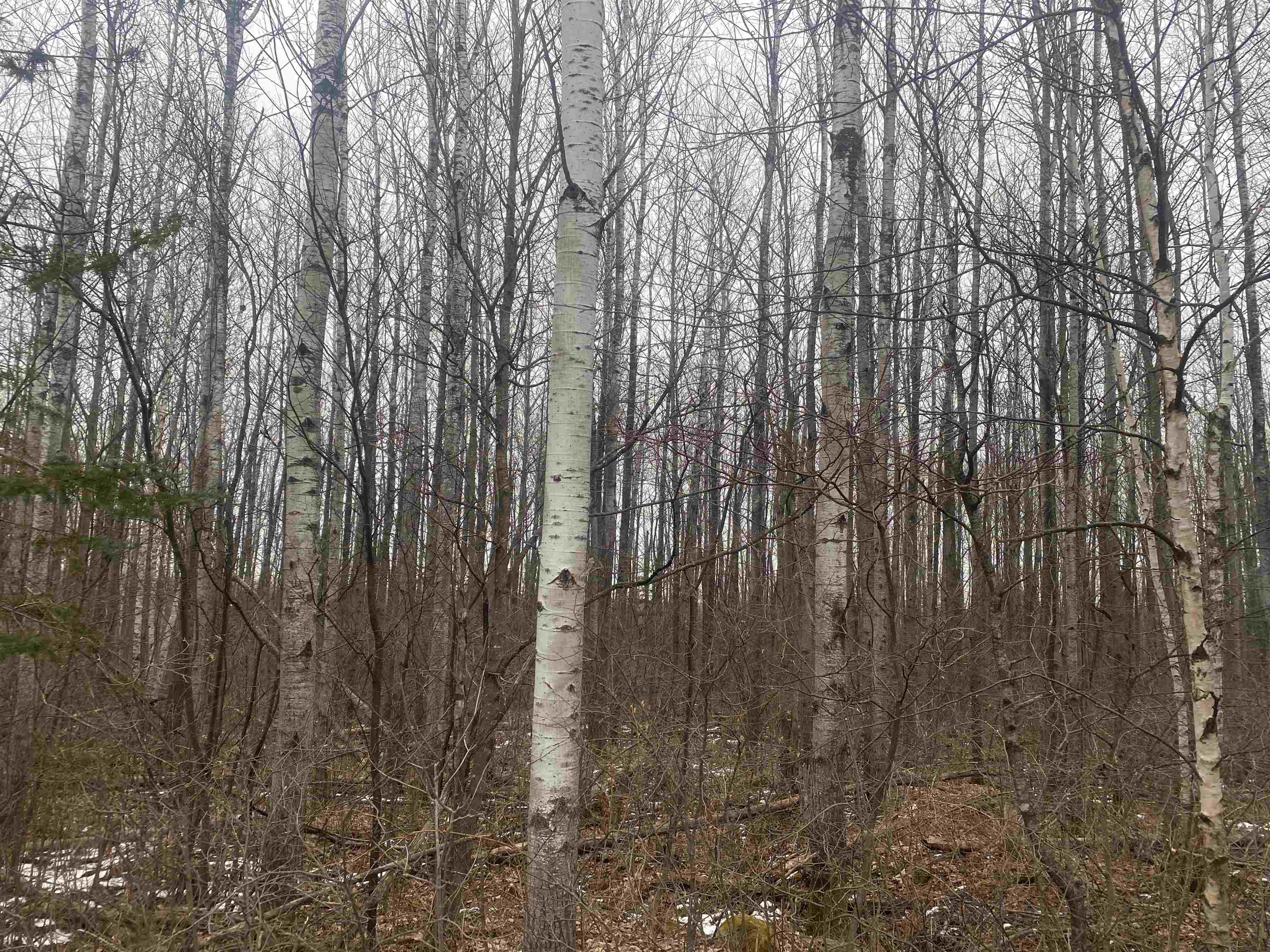 On County Road E Property Photo 4