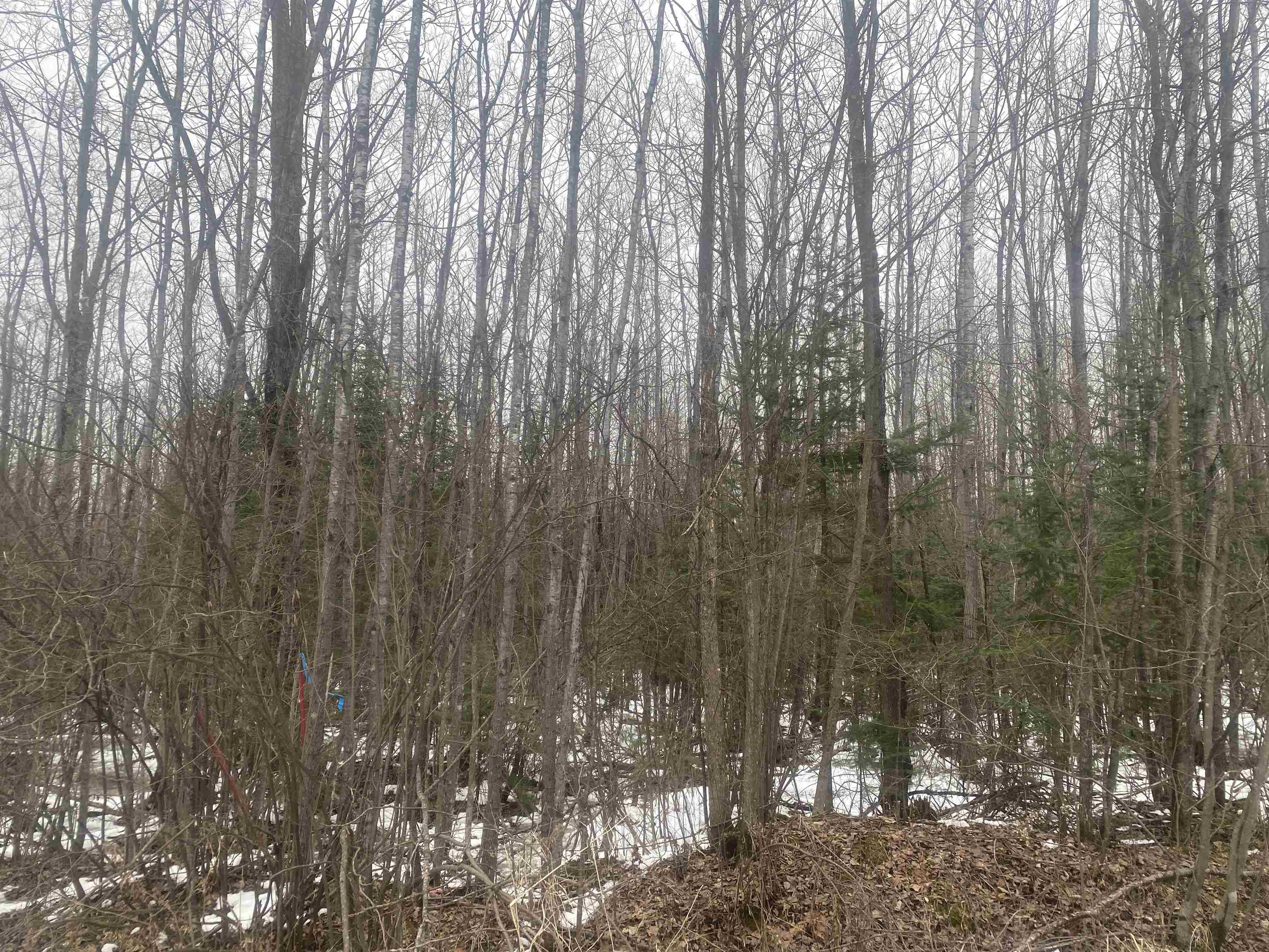Near Spring Brook Avenue Property Photo 2