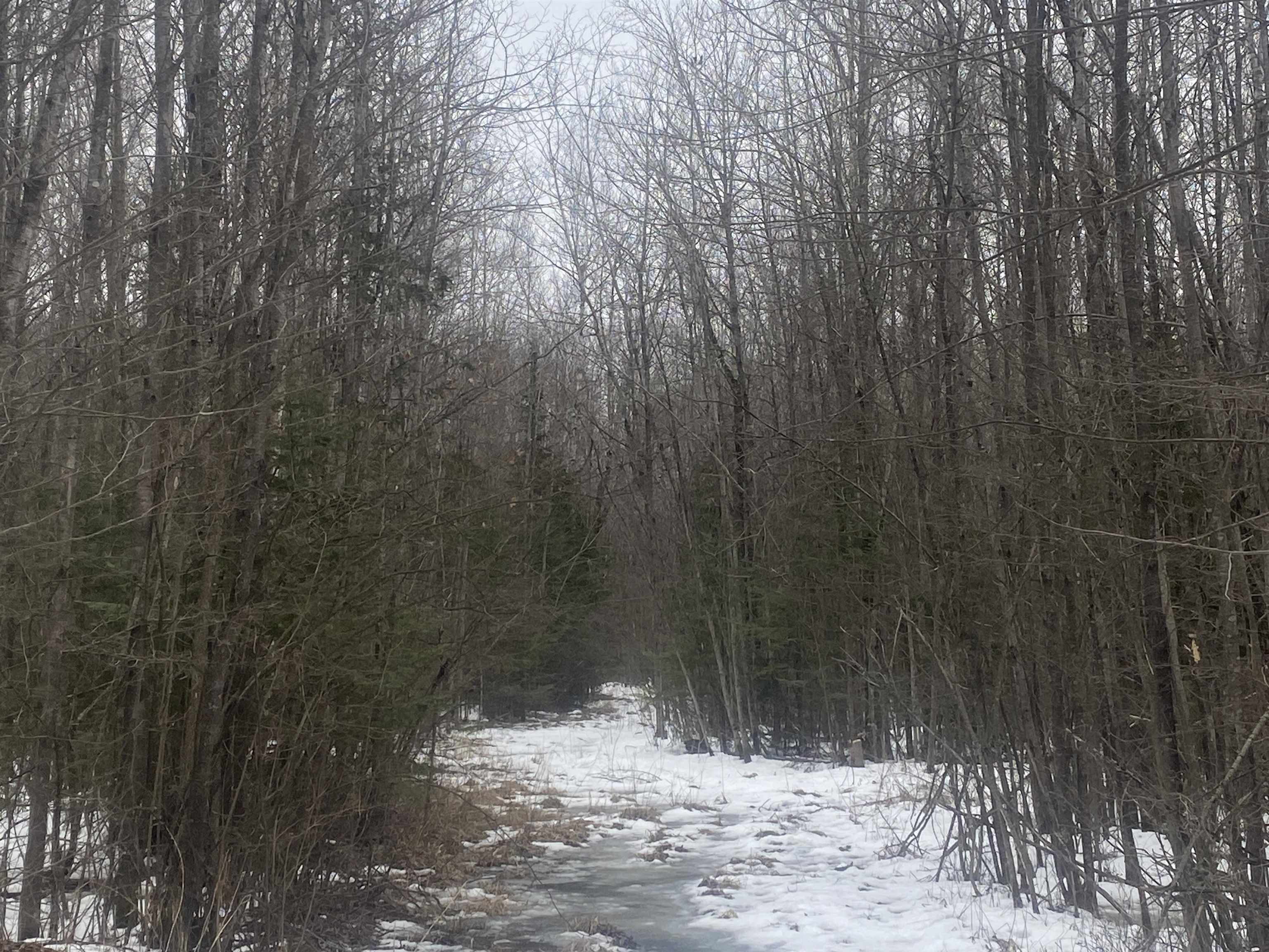 Near Spring Brook Avenue Property Photo 3