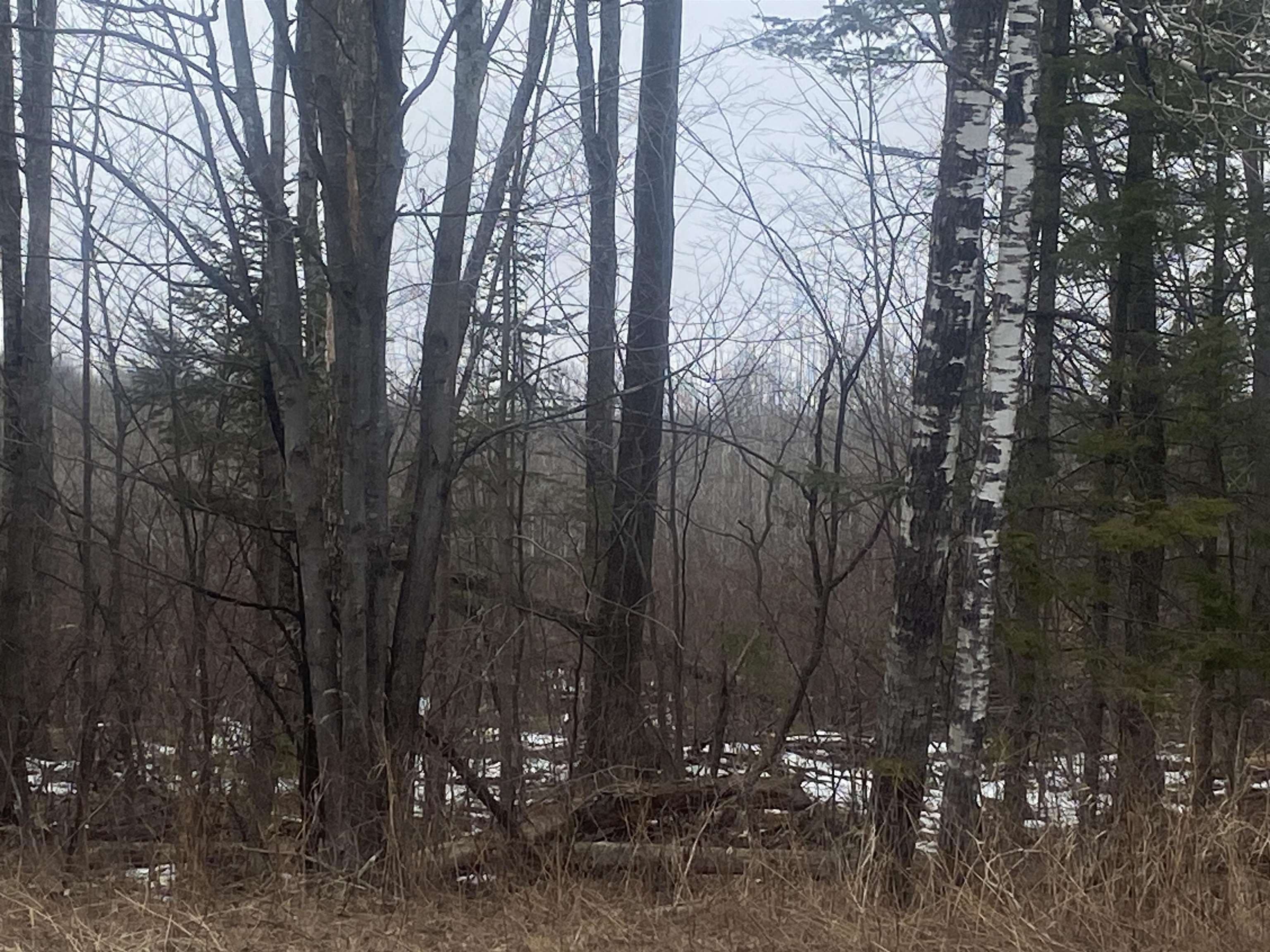 On State Highway 64 Property Photo 2