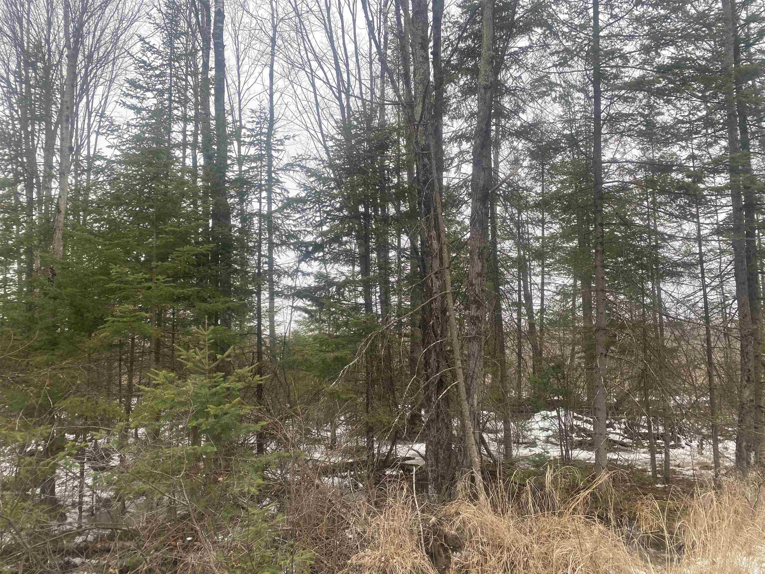 On State Highway 64 Property Photo 4