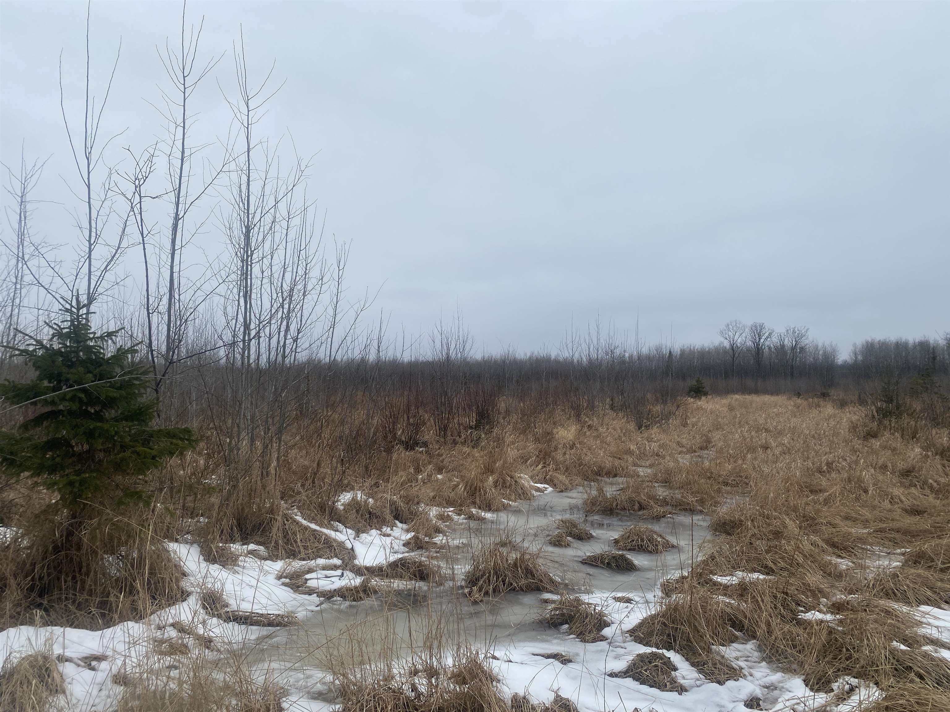 On State Highway 64 Property Photo 5