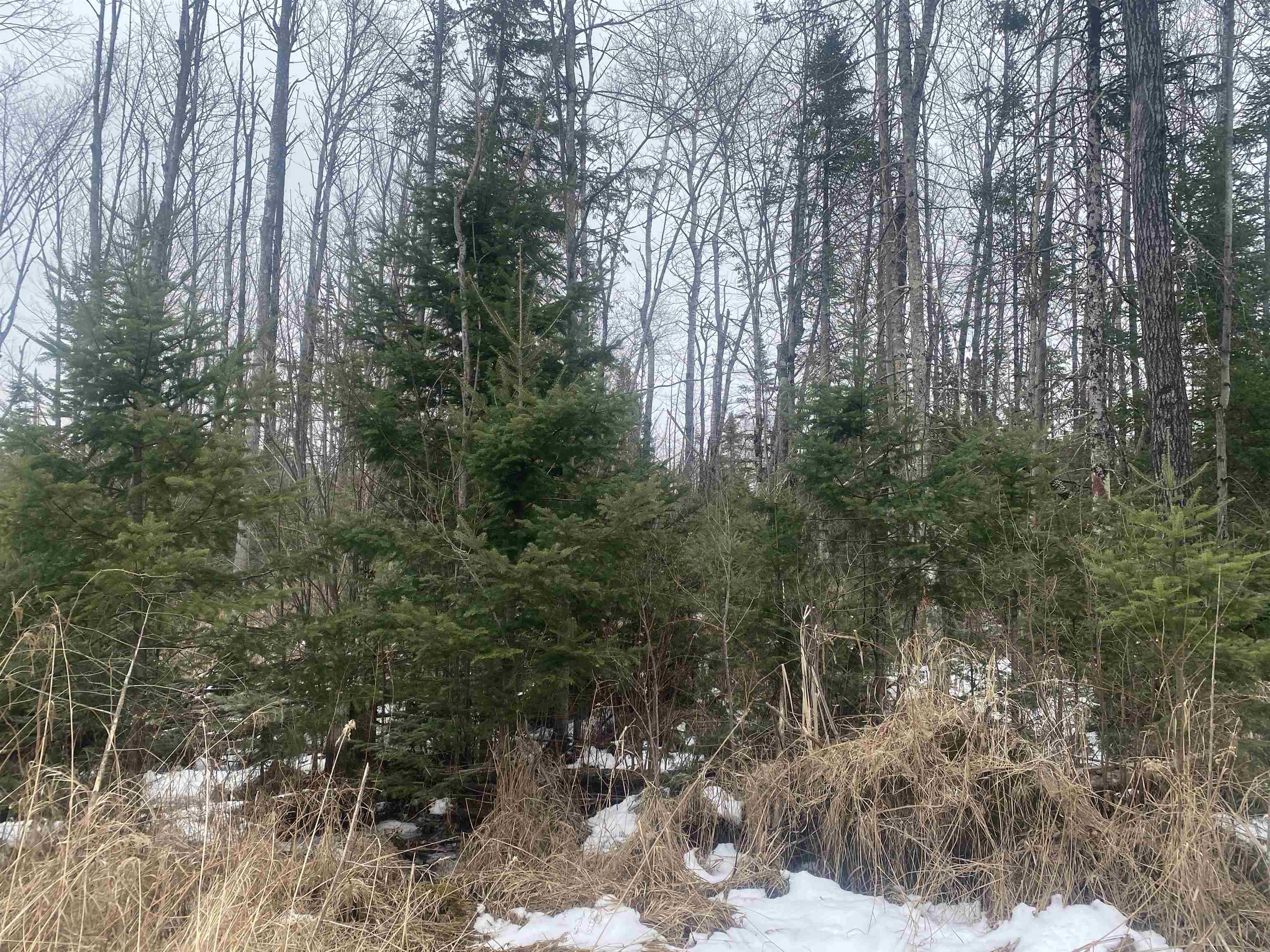 On State Highway 64 Property Photo 1