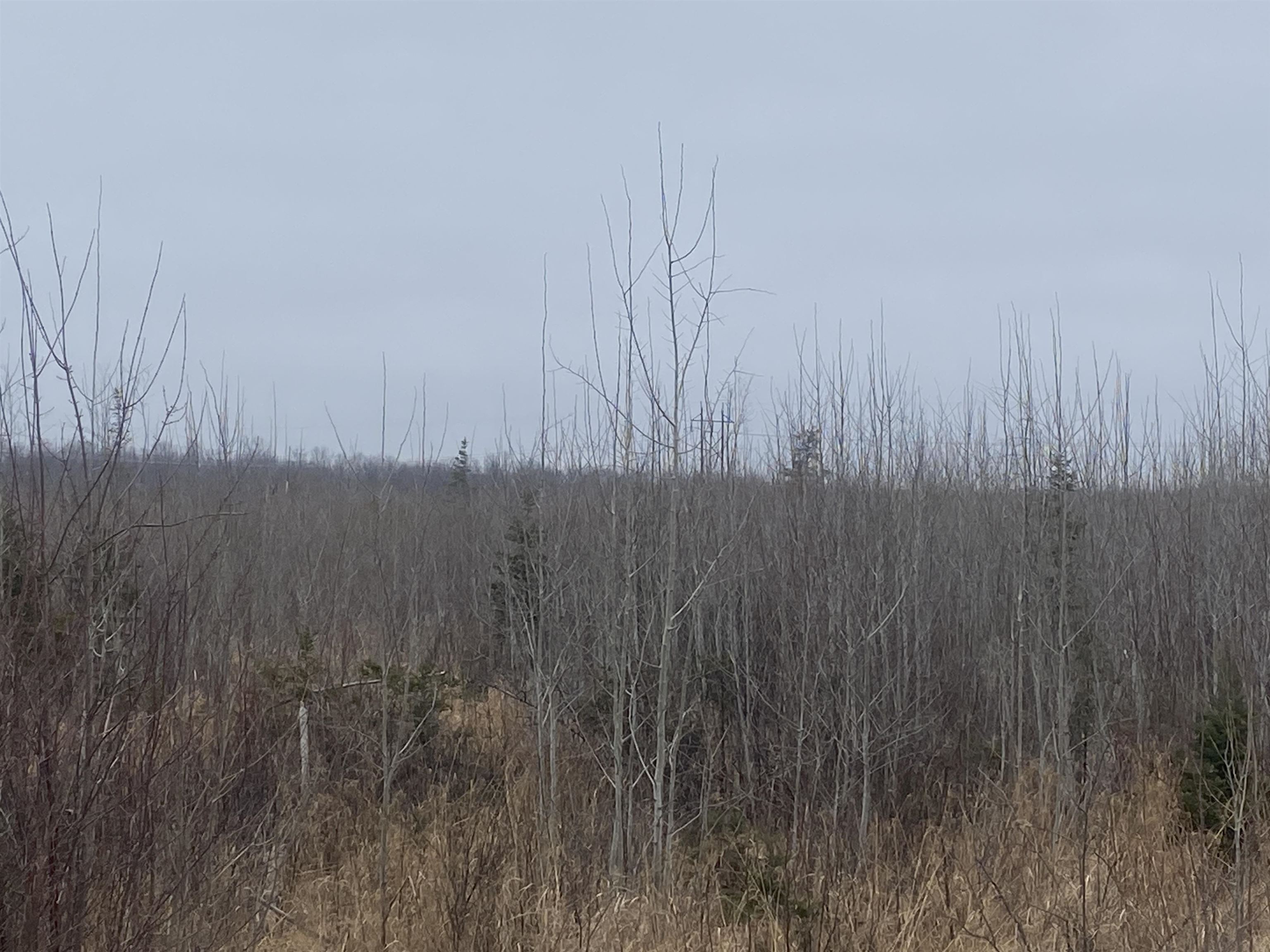 On State Highway 64 Property Photo 4