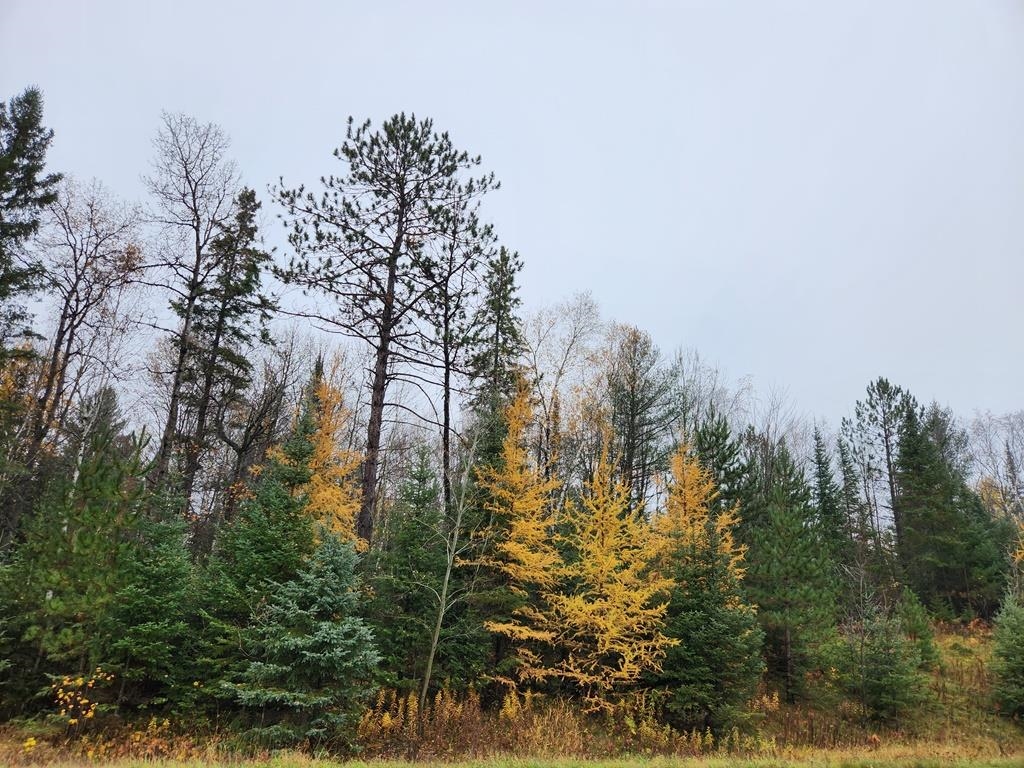 STATE HIGHWAY 86 Property Photo 1