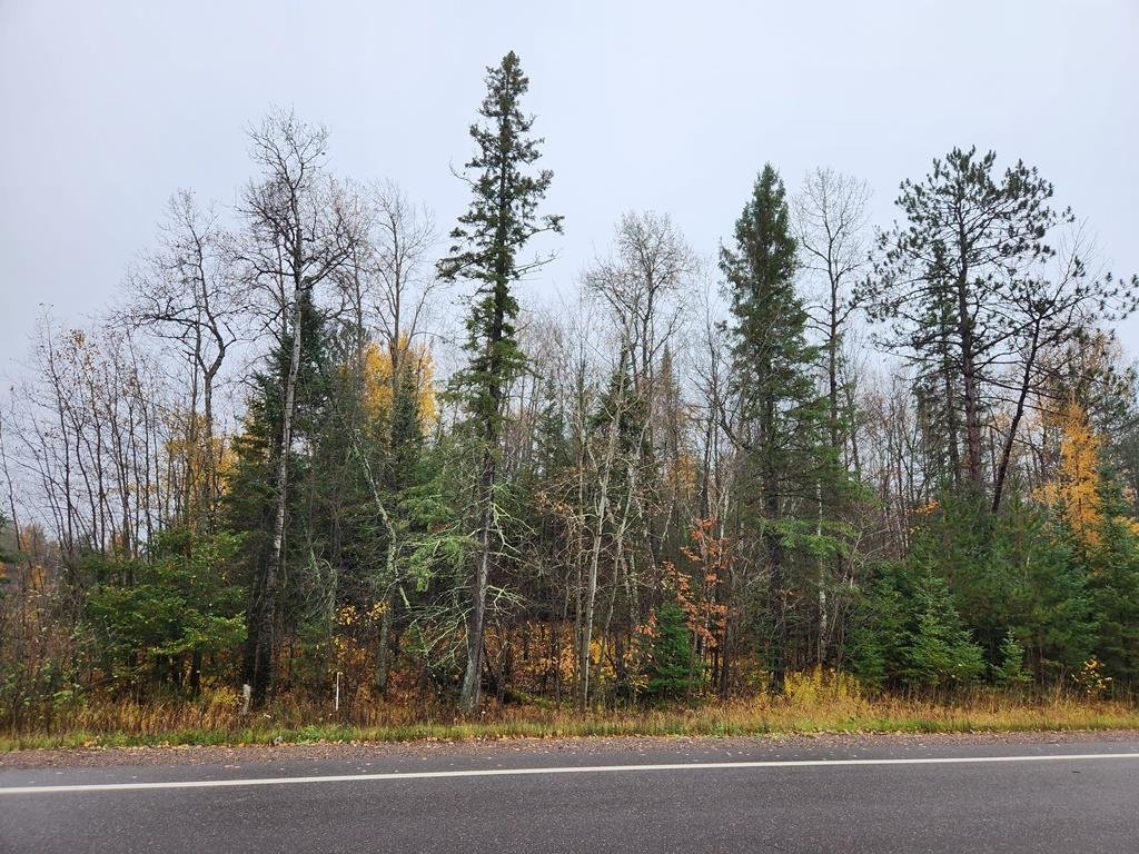 State Highway 86 Property Photo 3