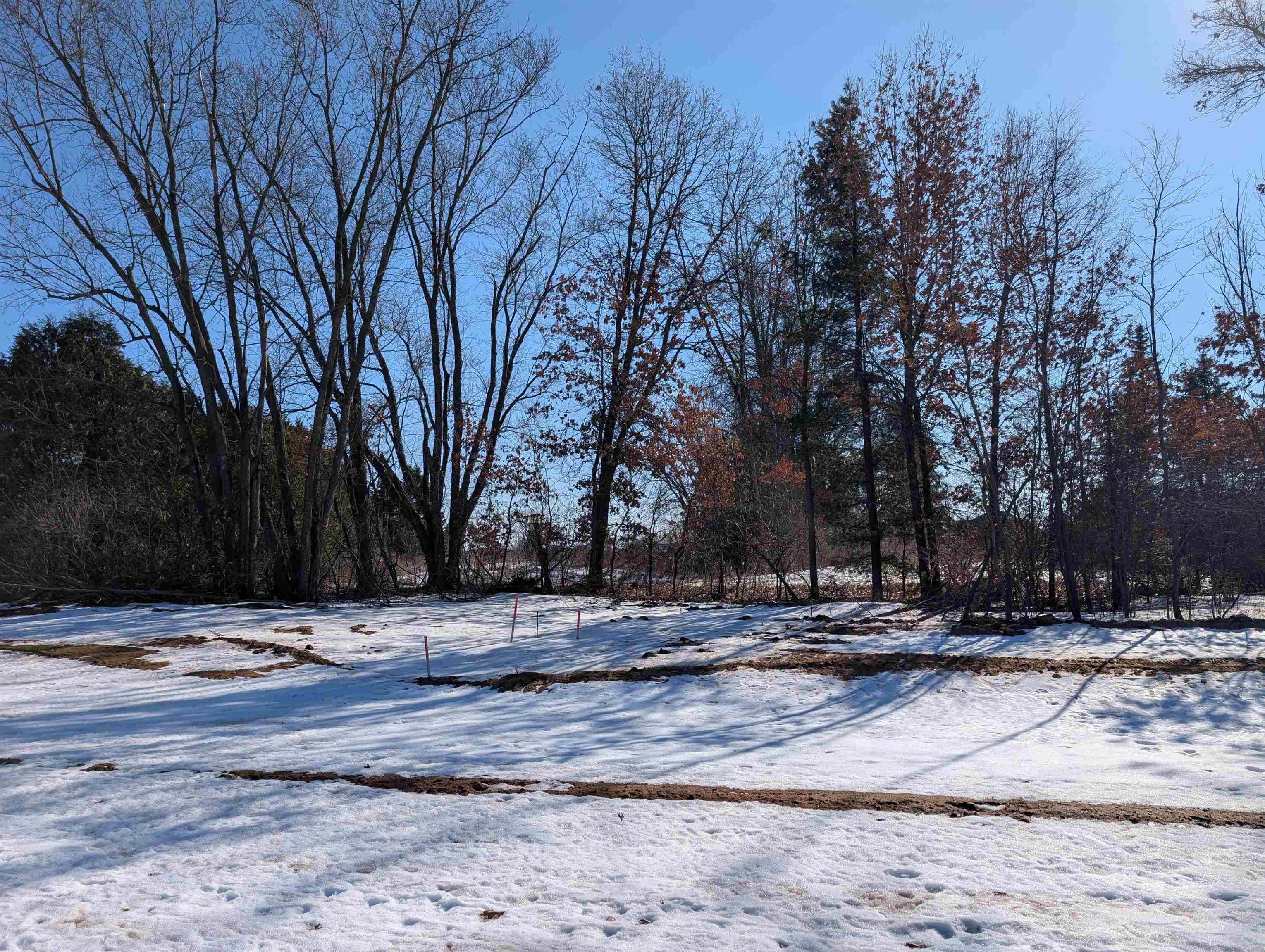 521 Amberwood Way Property Photo 2