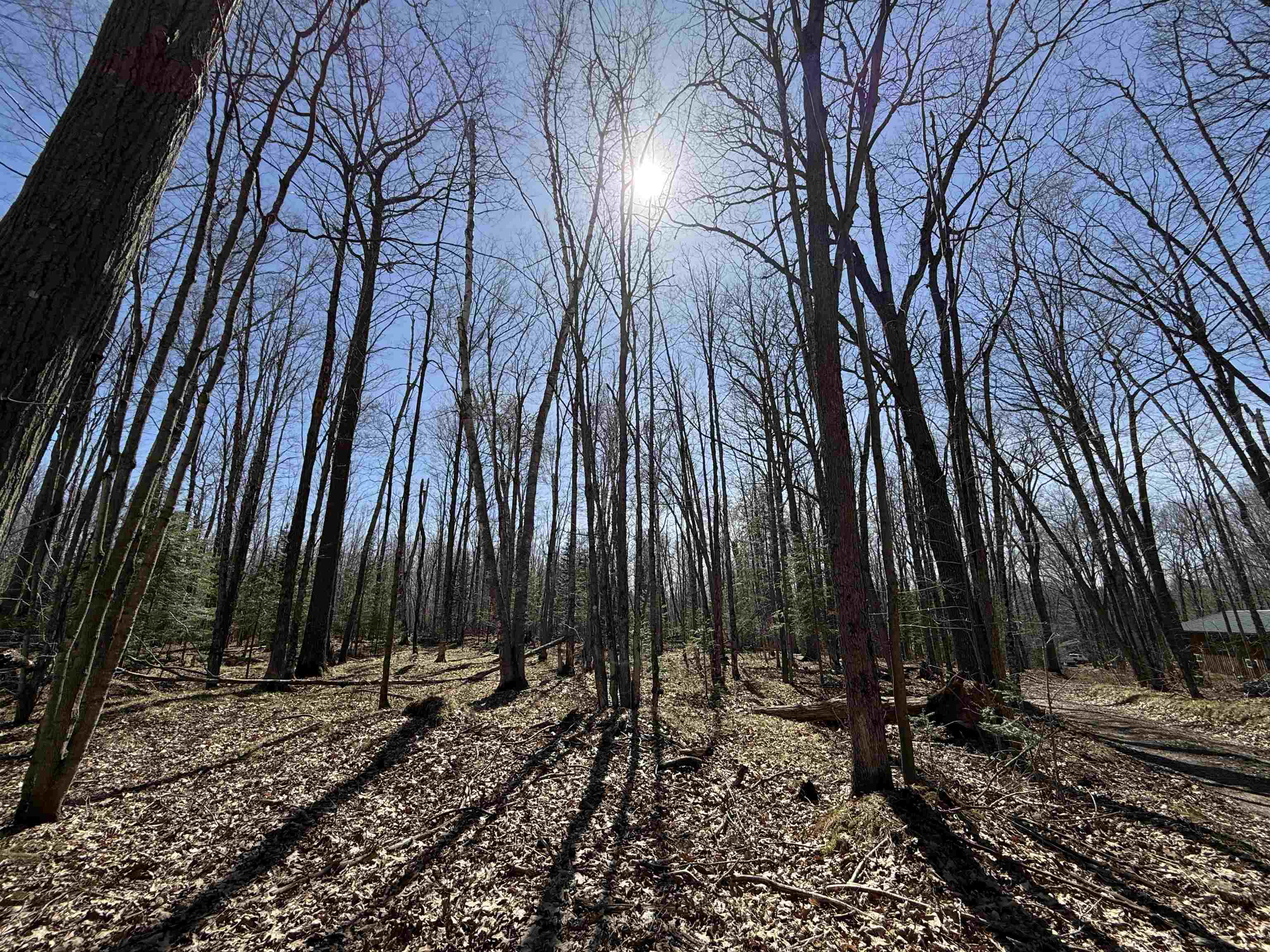 Lot #4 Allen Road Property Photo 5