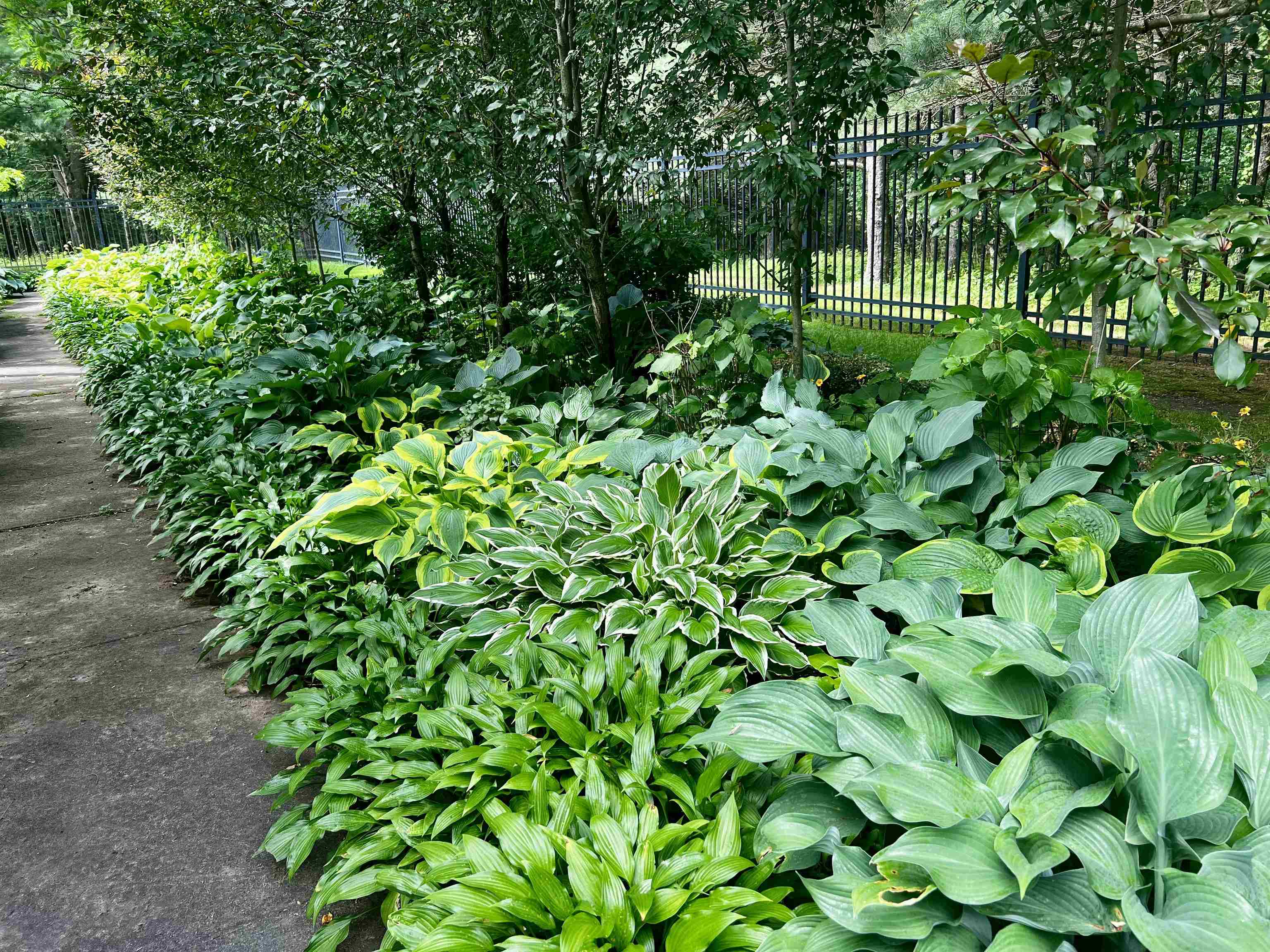 145683 Flint Creek Circle Property Photo 46