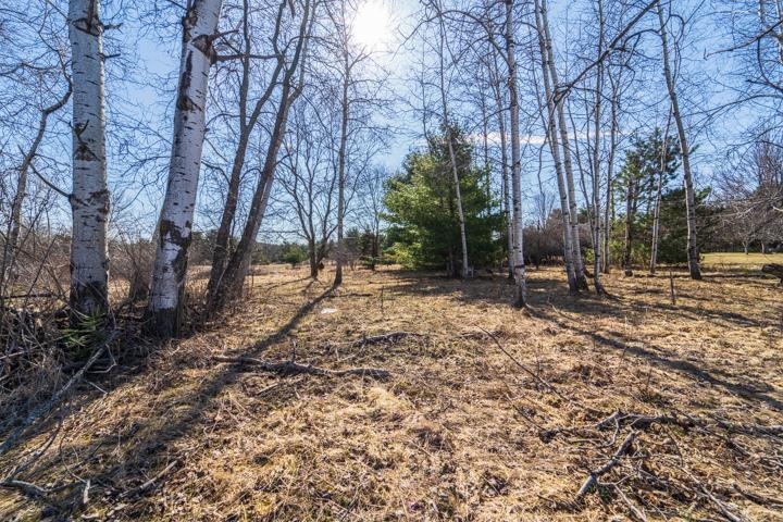 2305 Beecher Avenue Property Photo 5