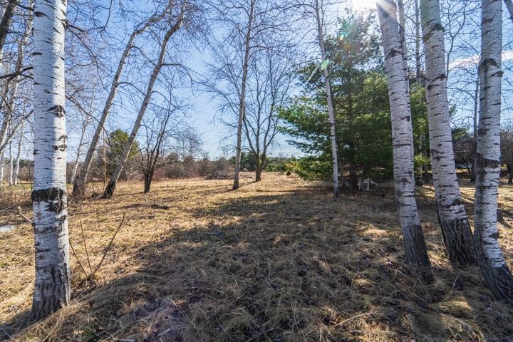 2305 Beecher Avenue Property Photo 6