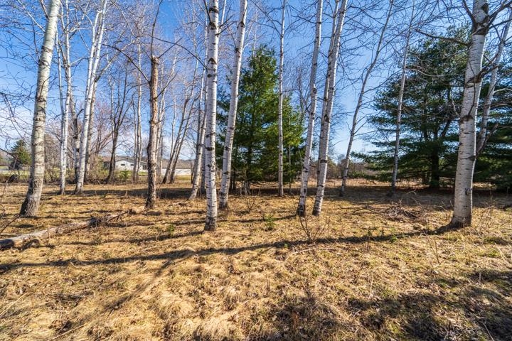2305 Beecher Avenue Property Photo 7