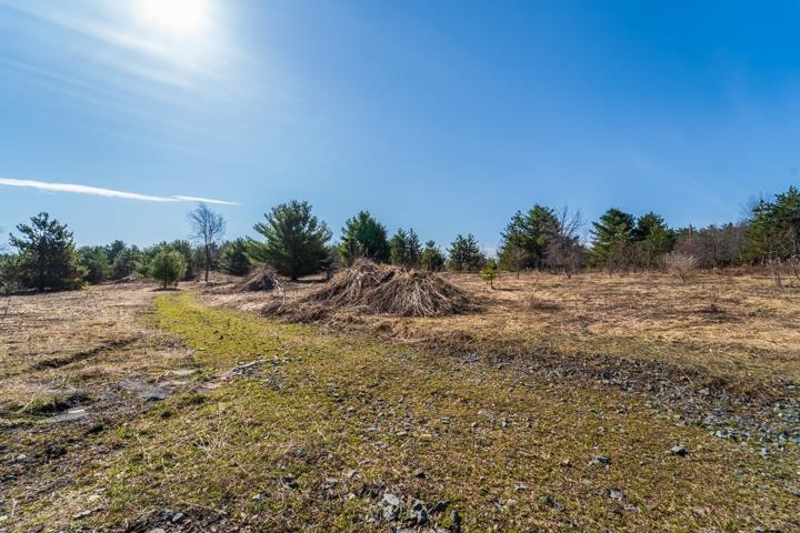 2305 Beecher Avenue Property Photo 16