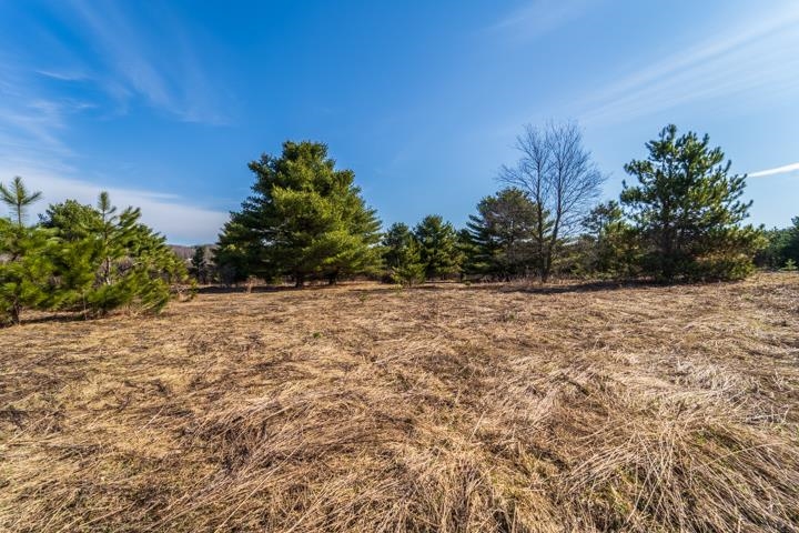 2305 Beecher Avenue Property Photo 17