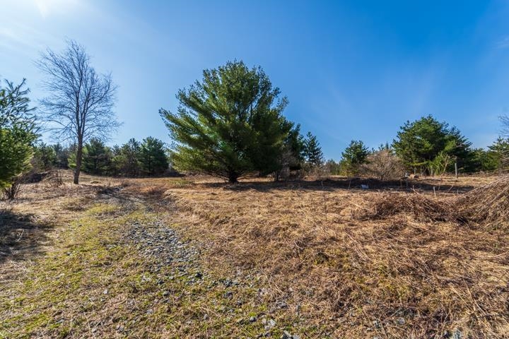 2305 Beecher Avenue Property Photo 18