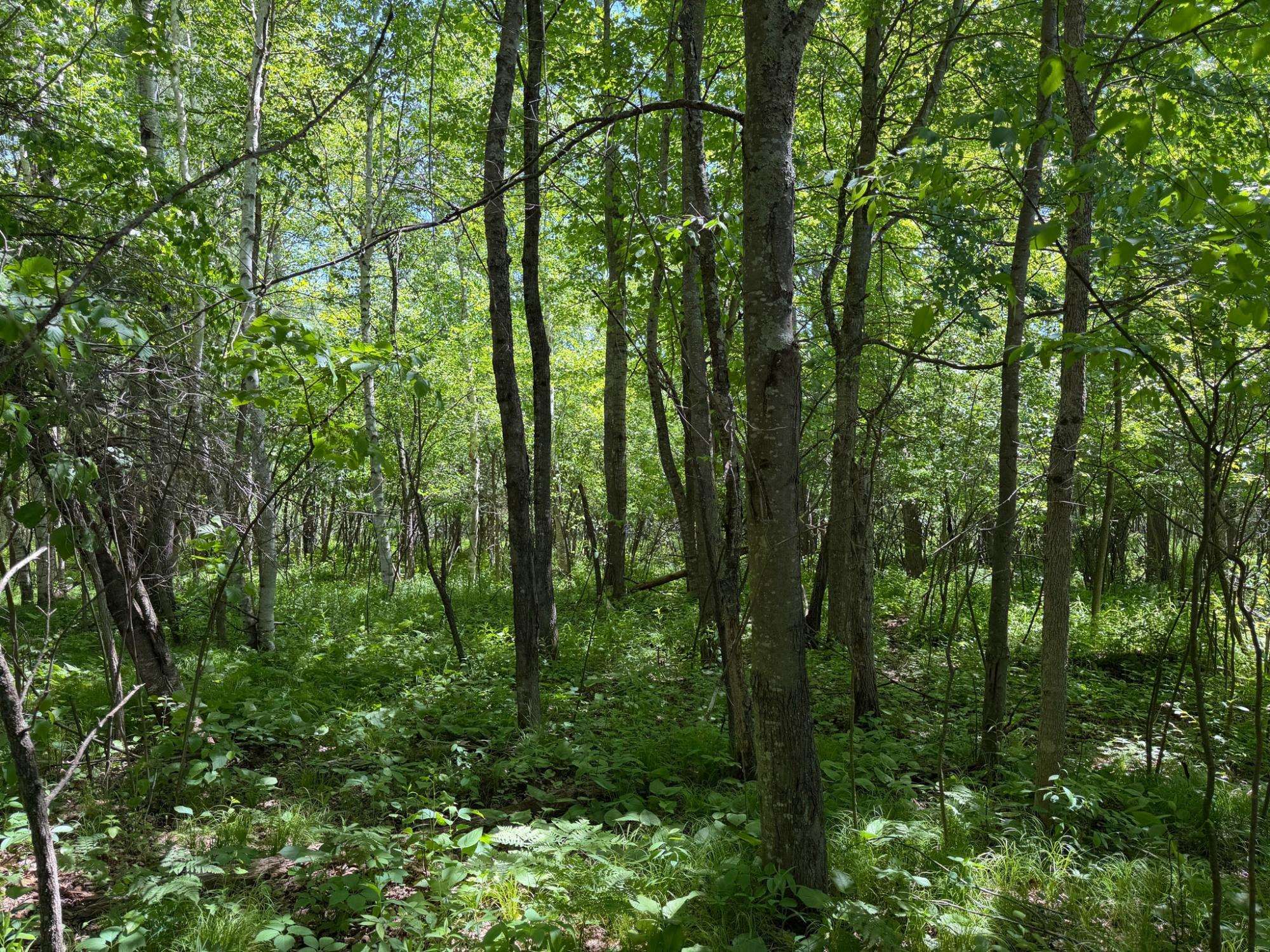 N9076 Bridge Road Property Photo 53
