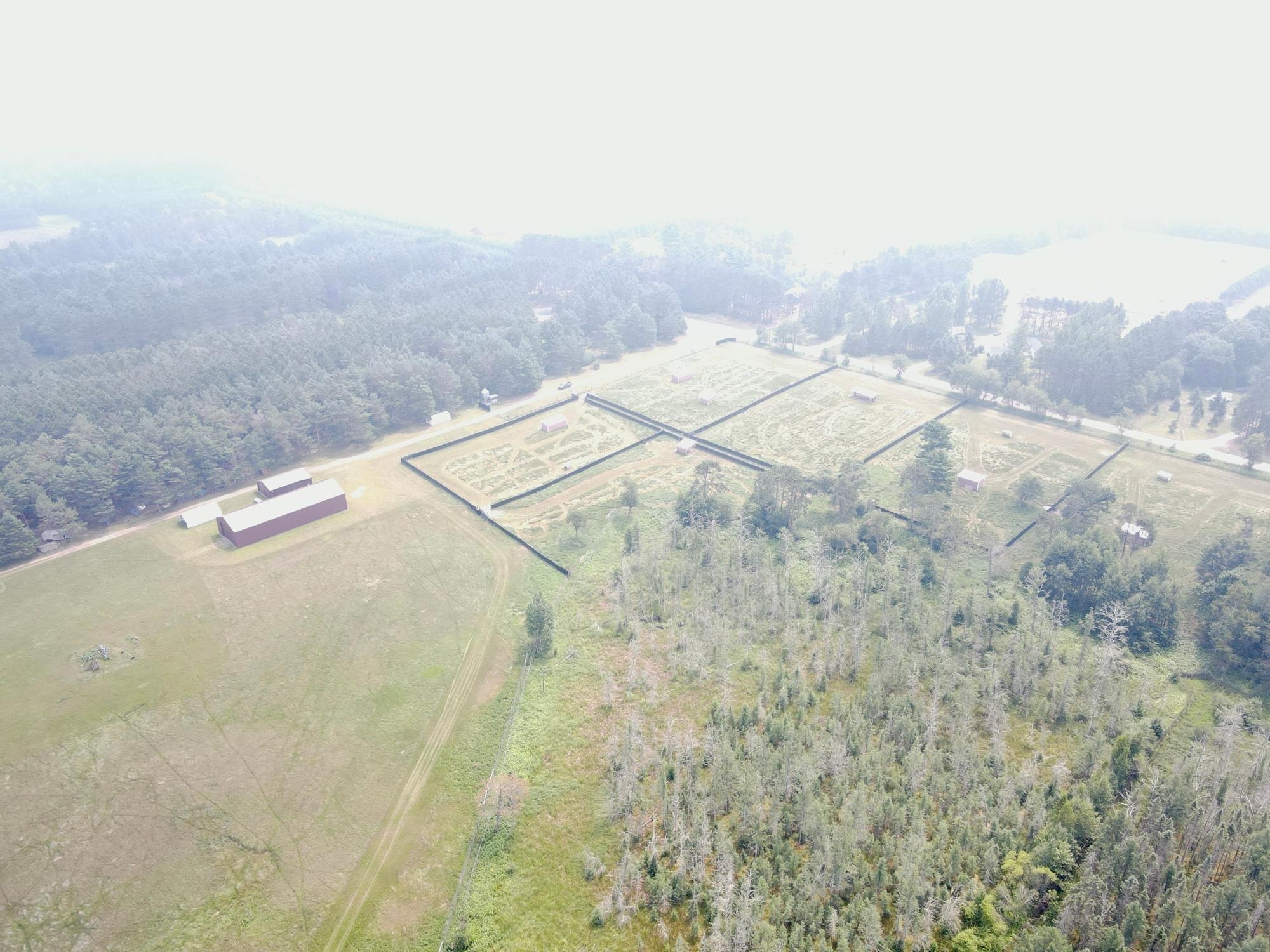 9880 Siemering Drive Property Photo 8