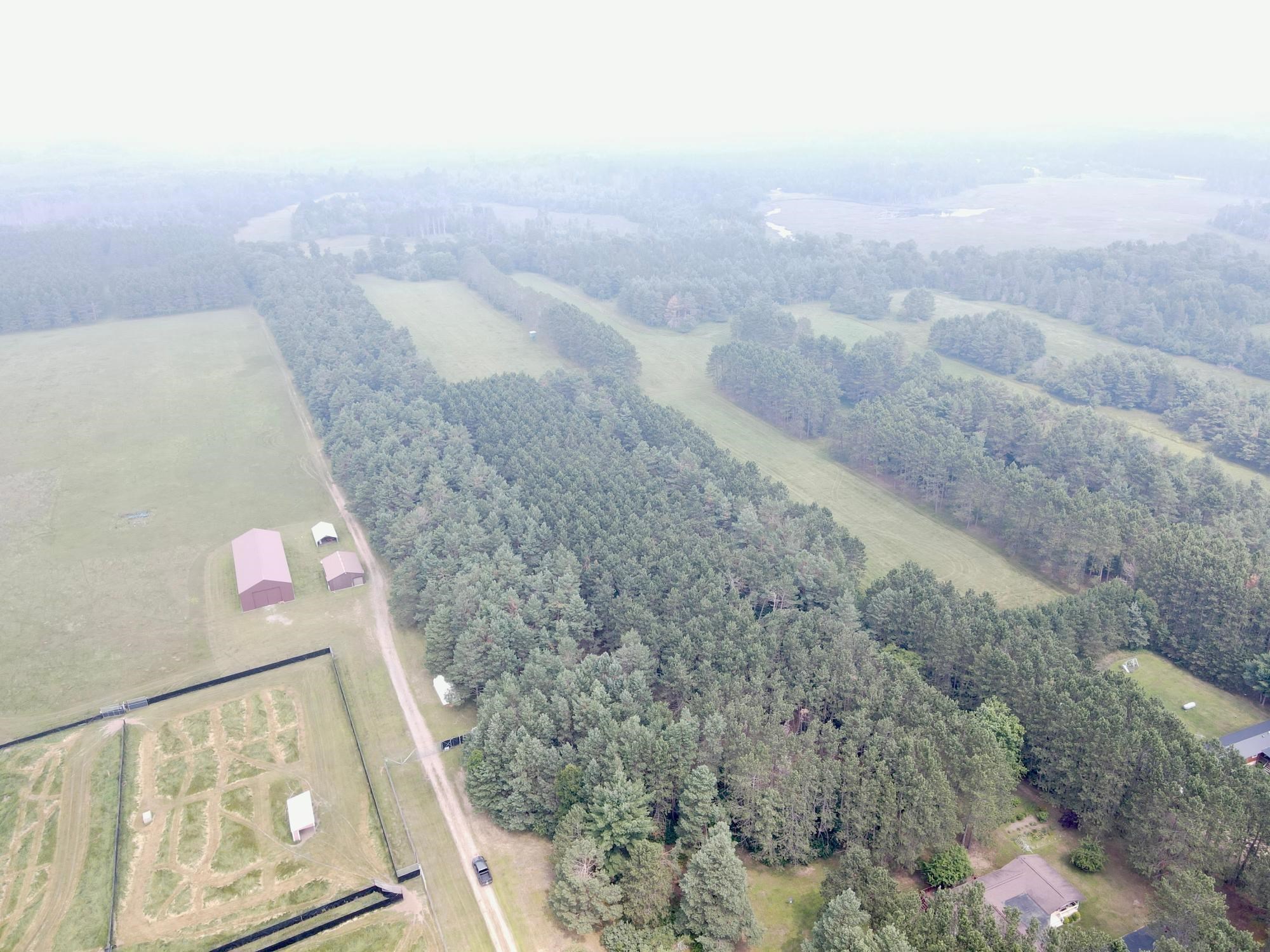 9880 Siemering Drive Property Photo 10