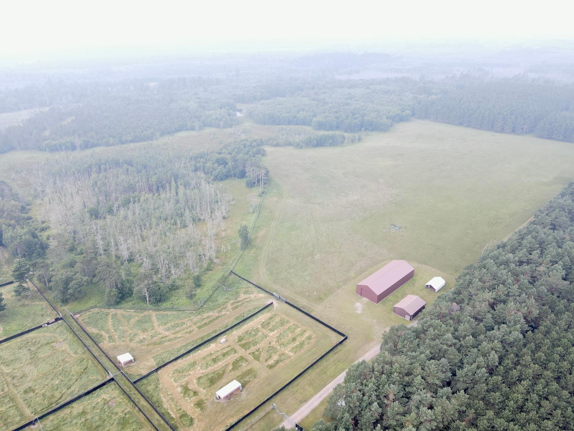 9880 Siemering Drive Property Photo 11