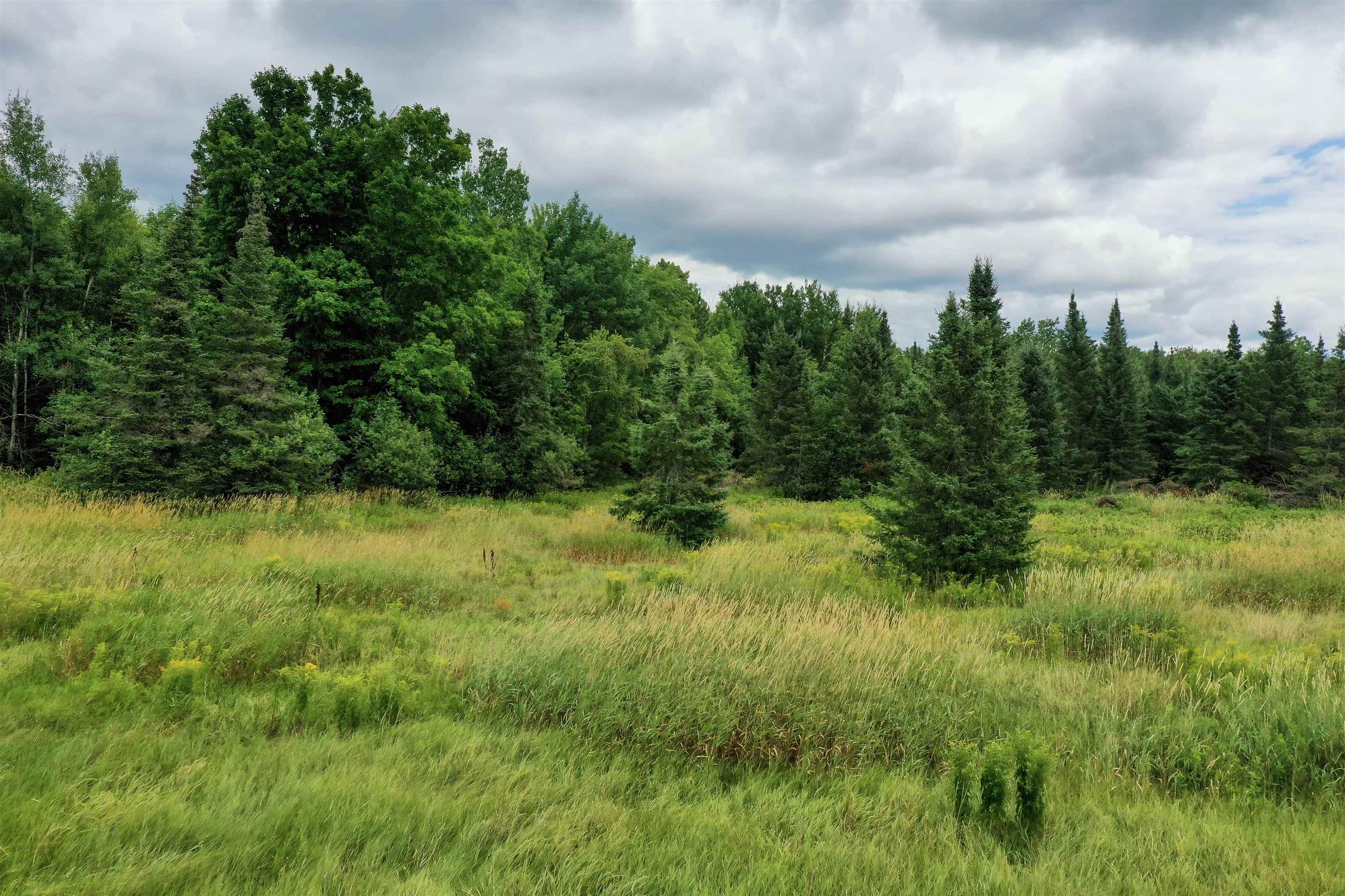 +/-3.25 Acres State Highway 13 Property Photo 10