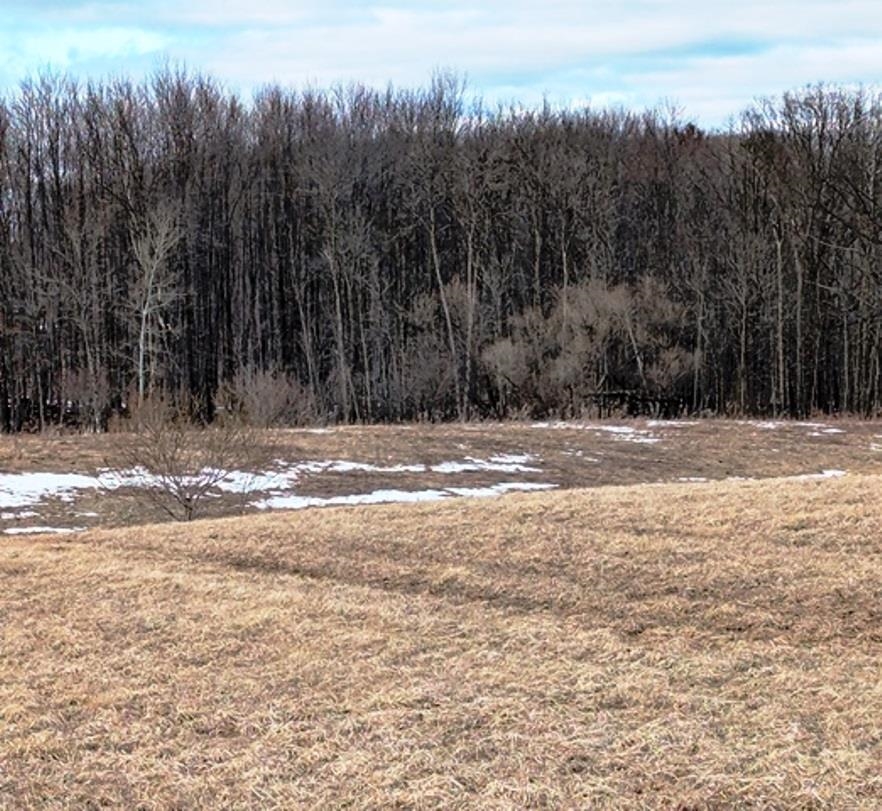 Sec 11 Crow Road Property Photo 1