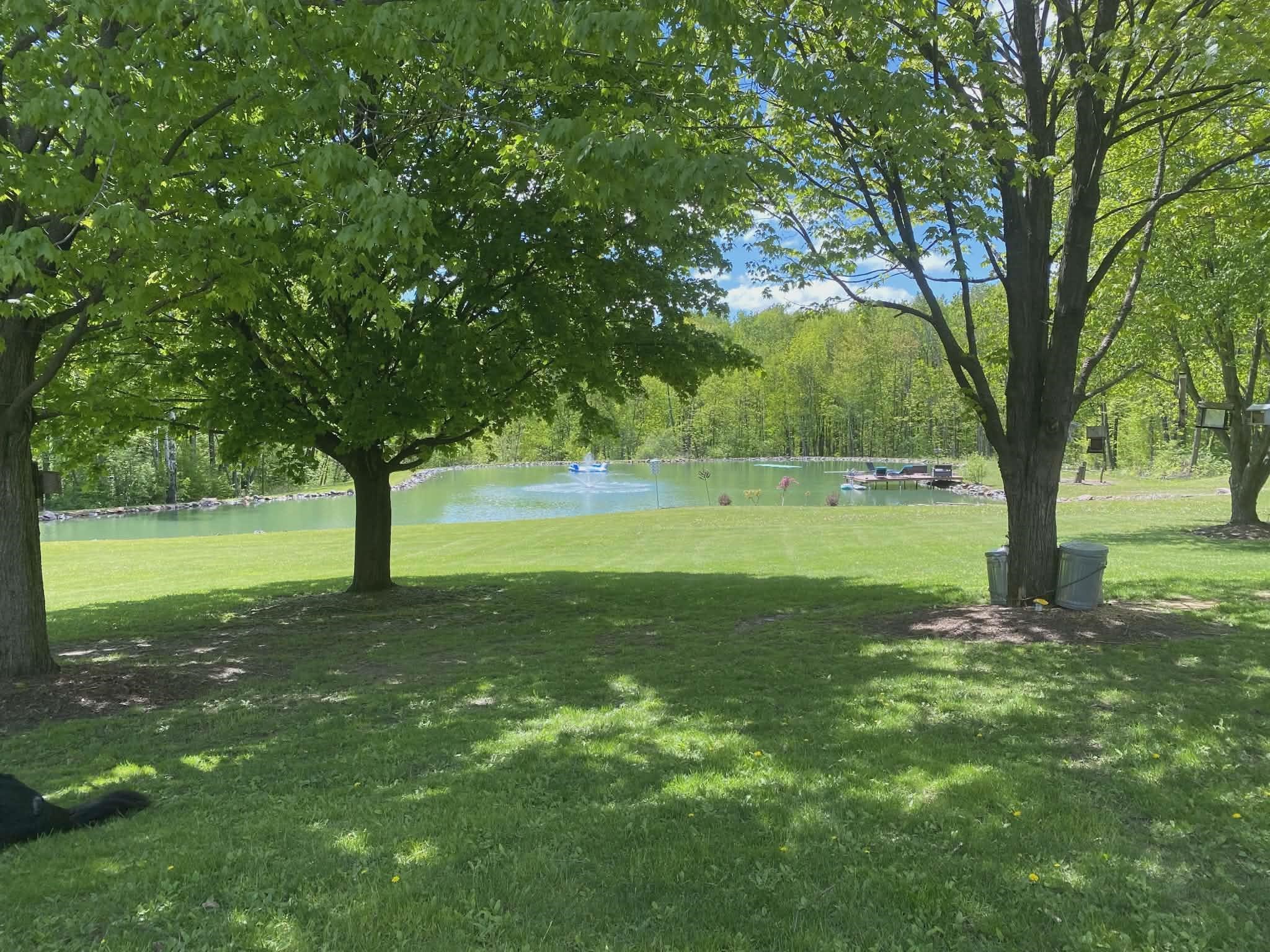 9893 Bluff Drive Property Photo 39