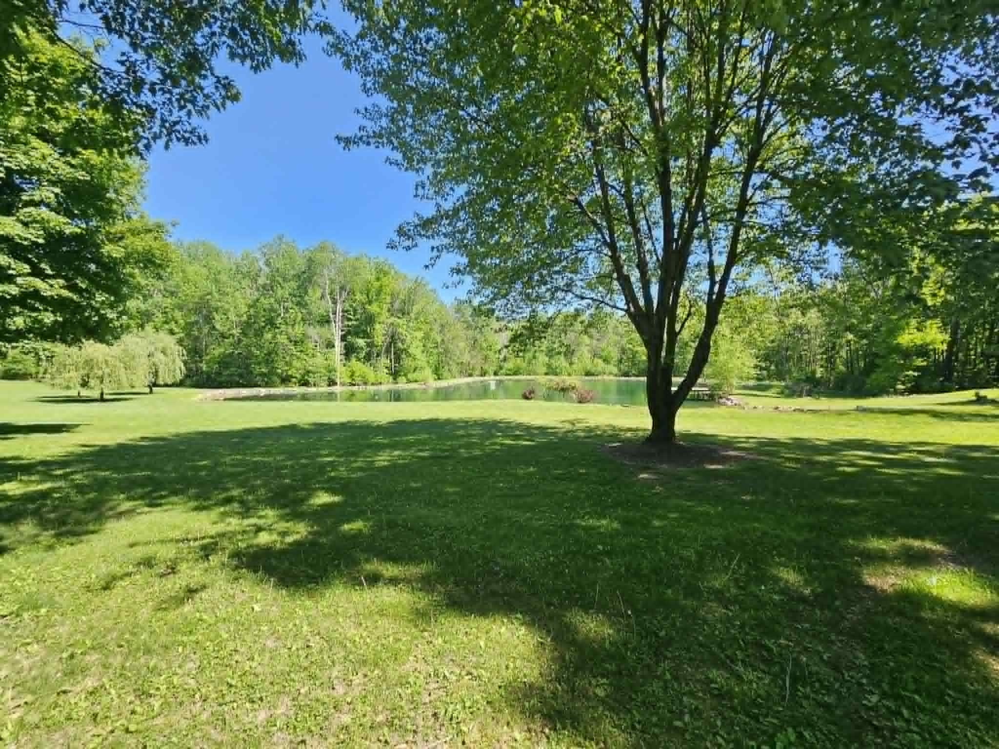 9893 Bluff Drive Property Photo 41