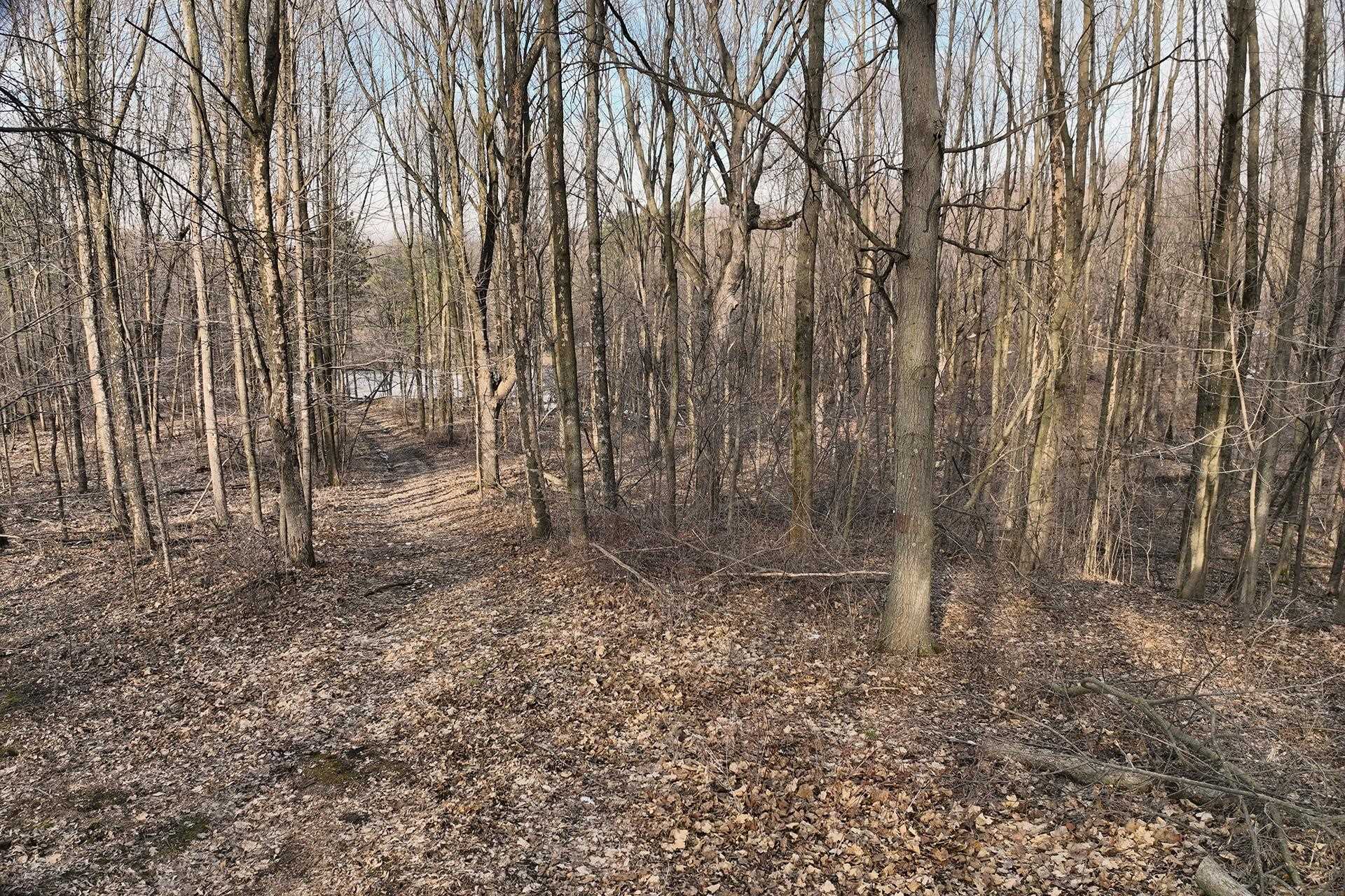 8.24 Acres Ridge Road Property Photo 10