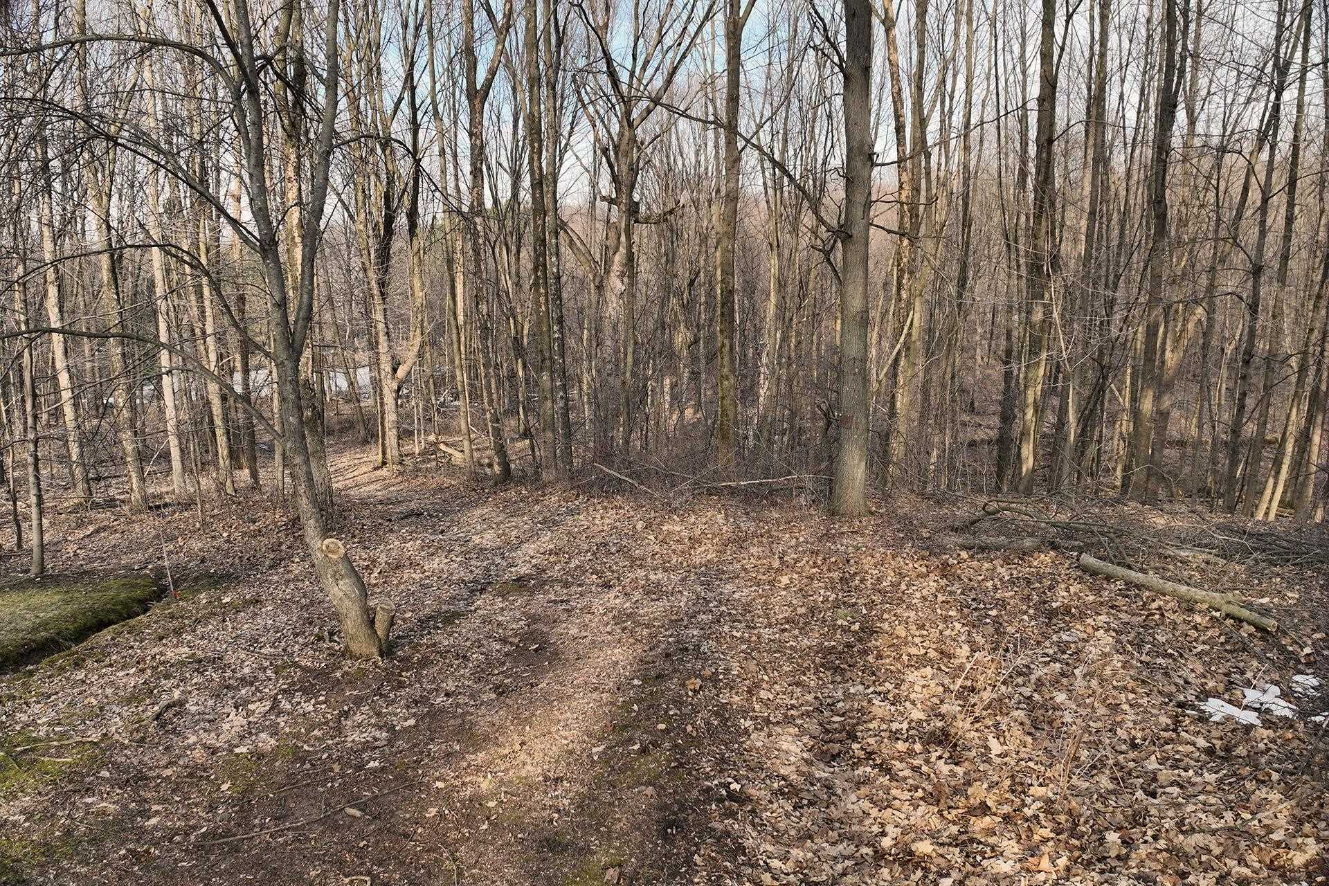 8.24 Acres Ridge Road Property Photo 11