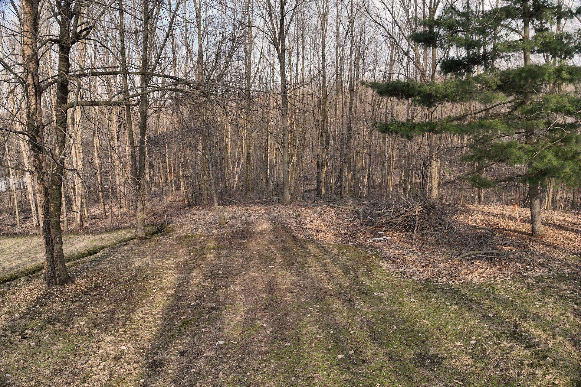 8.24 Acres Ridge Road Property Photo 12