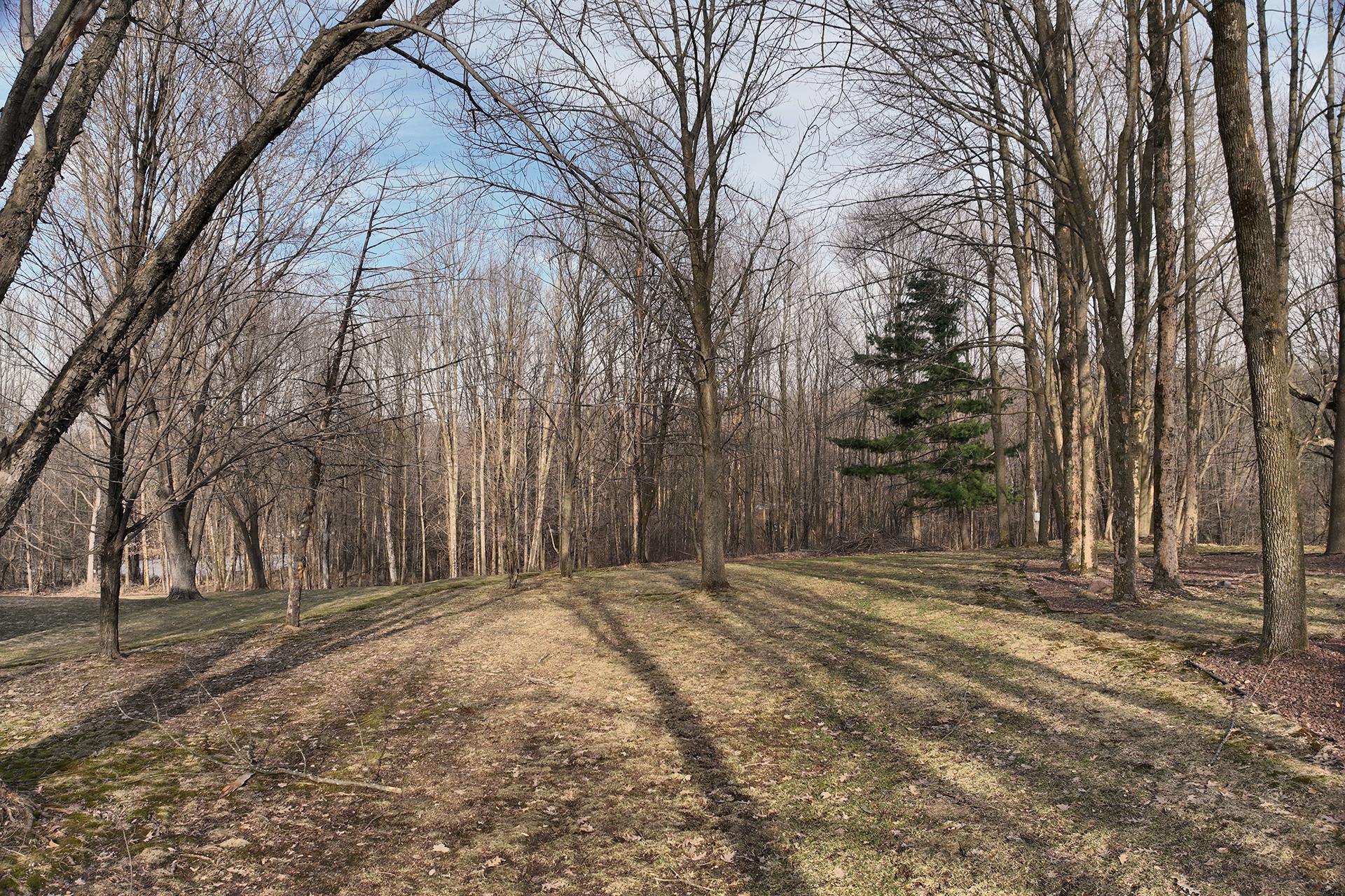 8.24 Acres Ridge Road Property Photo 14