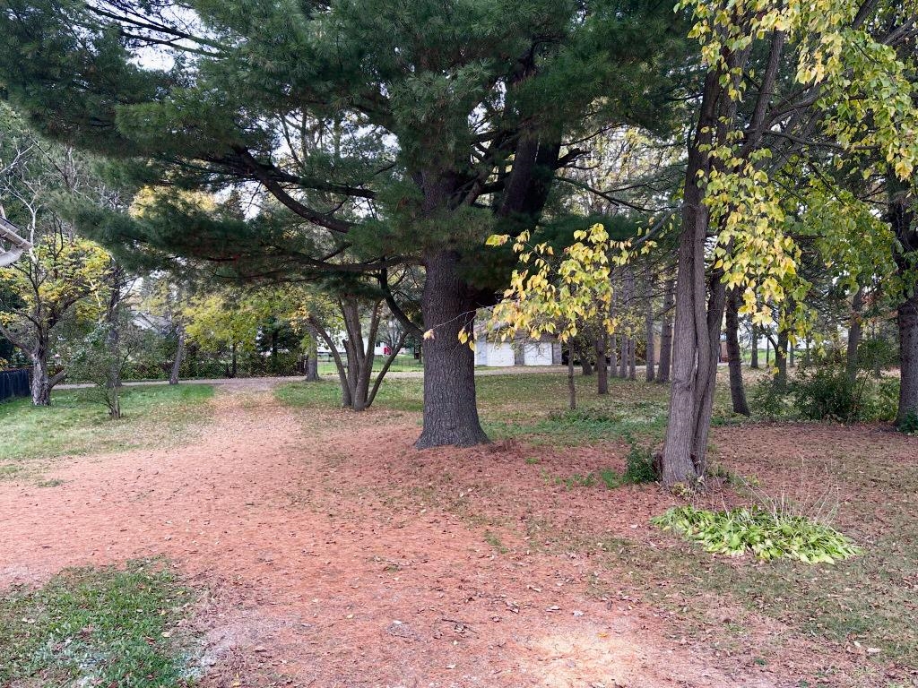 1016 4th Avenue Property Photo 26