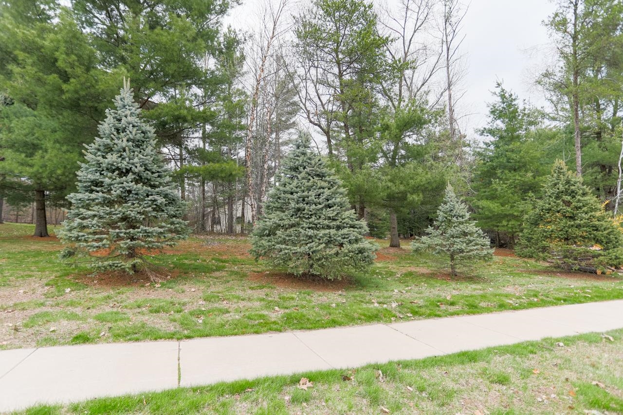 210 Bluestone Drive Property Photo 14