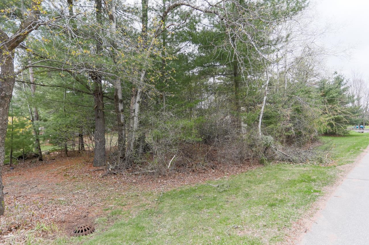 210 Bluestone Drive Property Photo 23