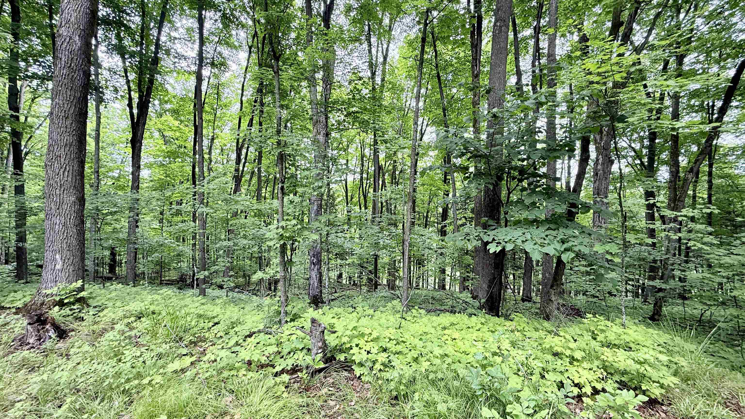 W1438 Country Squire Road Property Photo 15