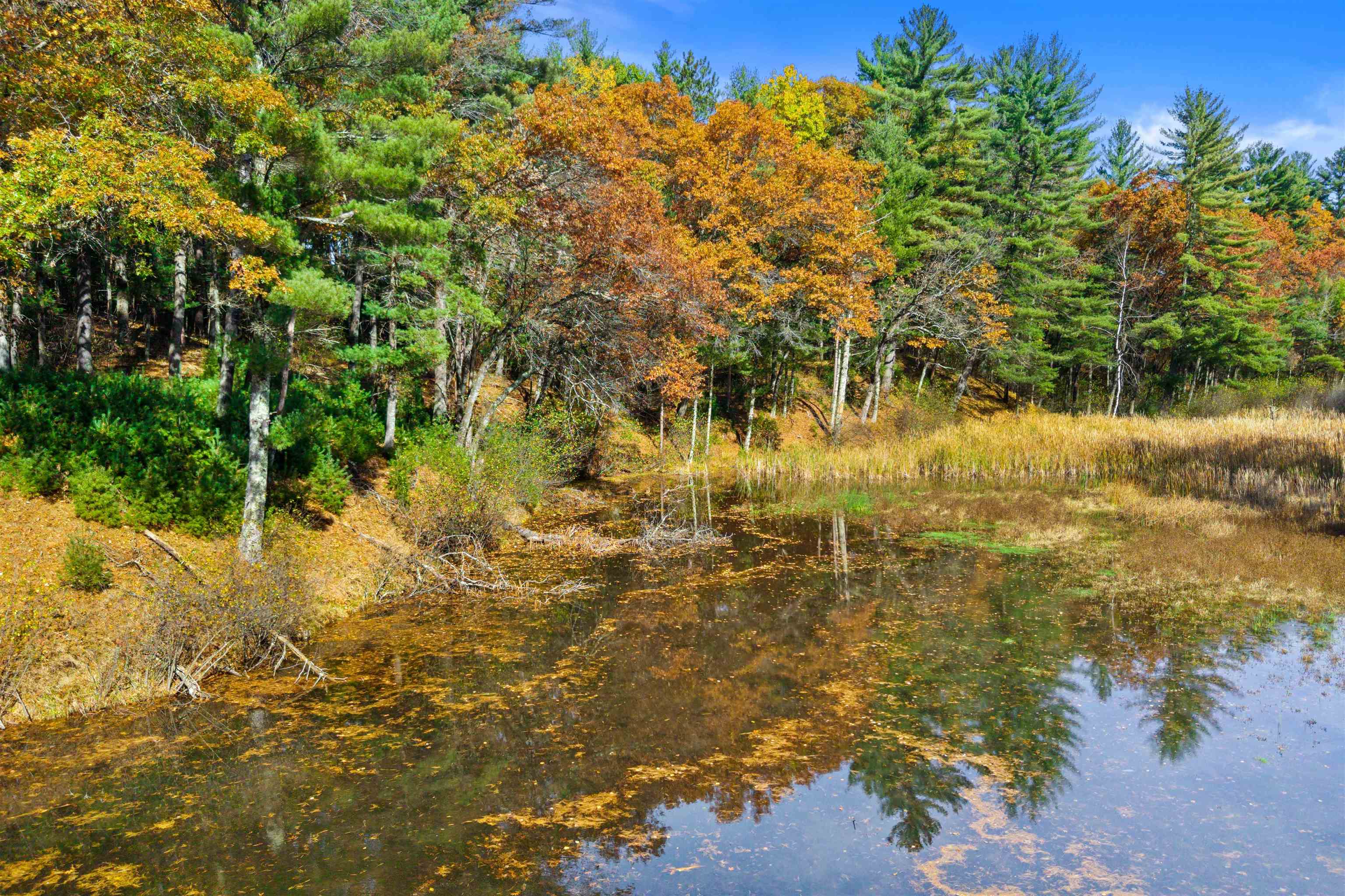 Lot 55 Fly Rod Trail Property Photo 12