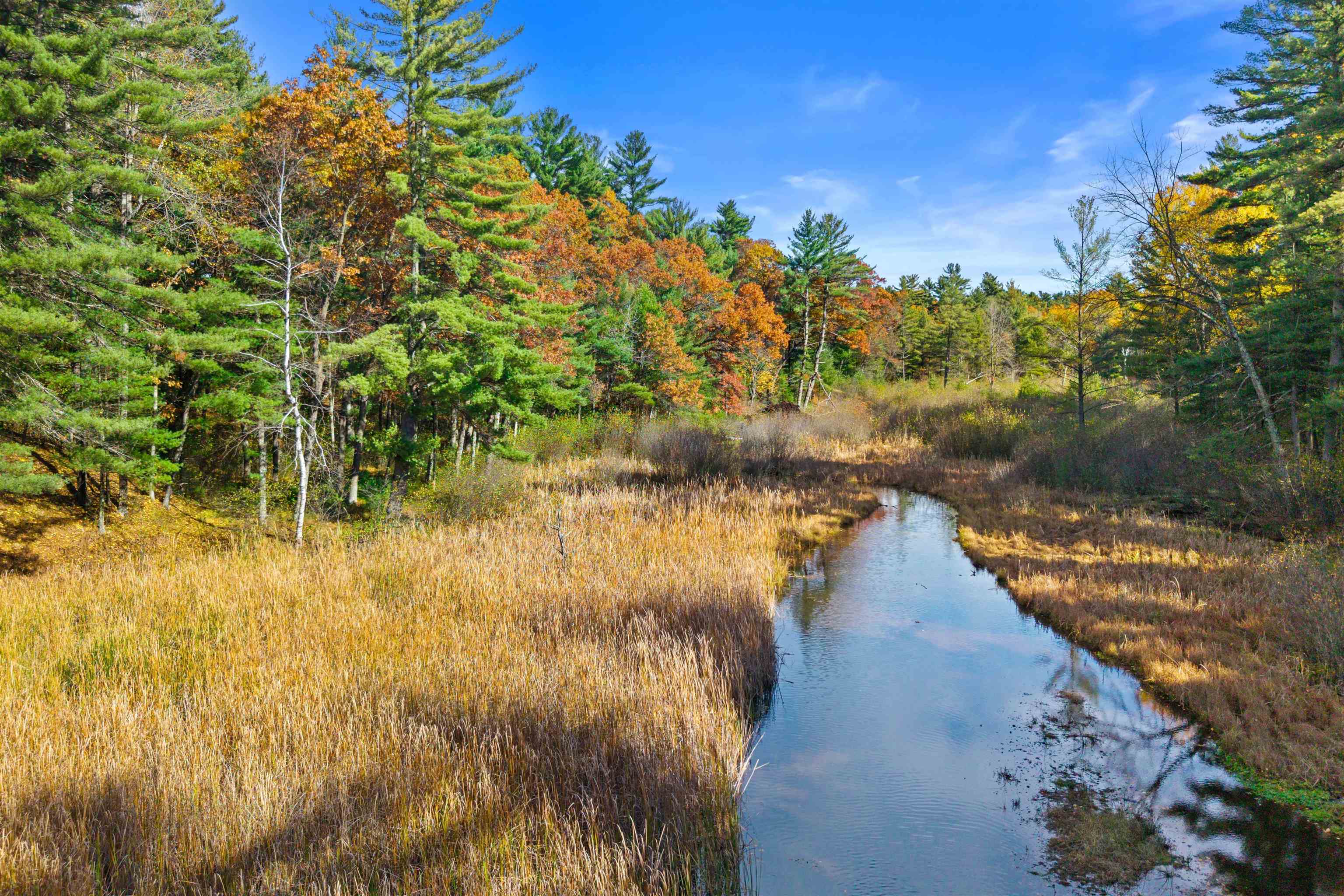 Lot 55 Fly Rod Trail Property Photo 14
