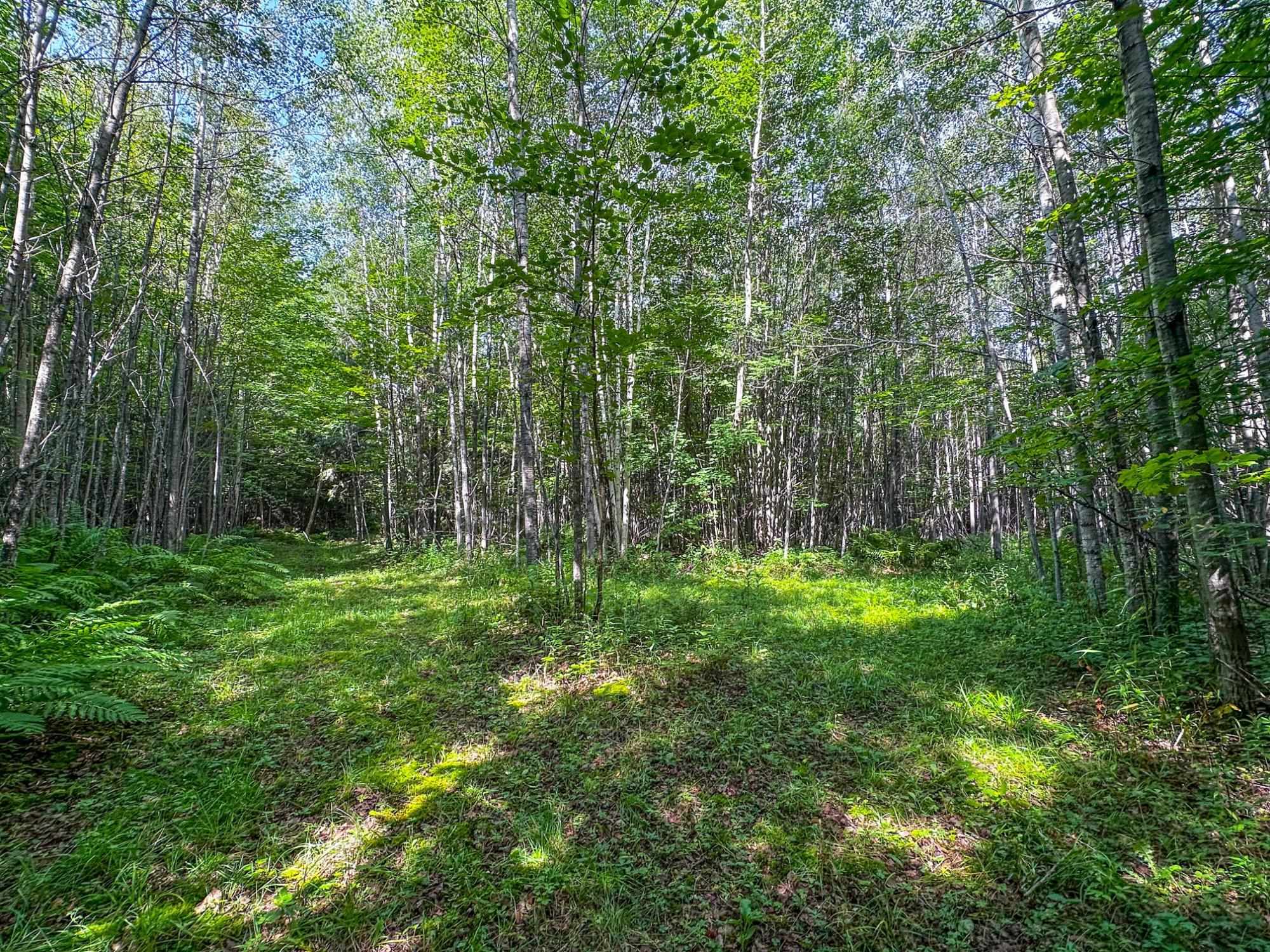 93.89a On Kundinger Road Property Photo 18