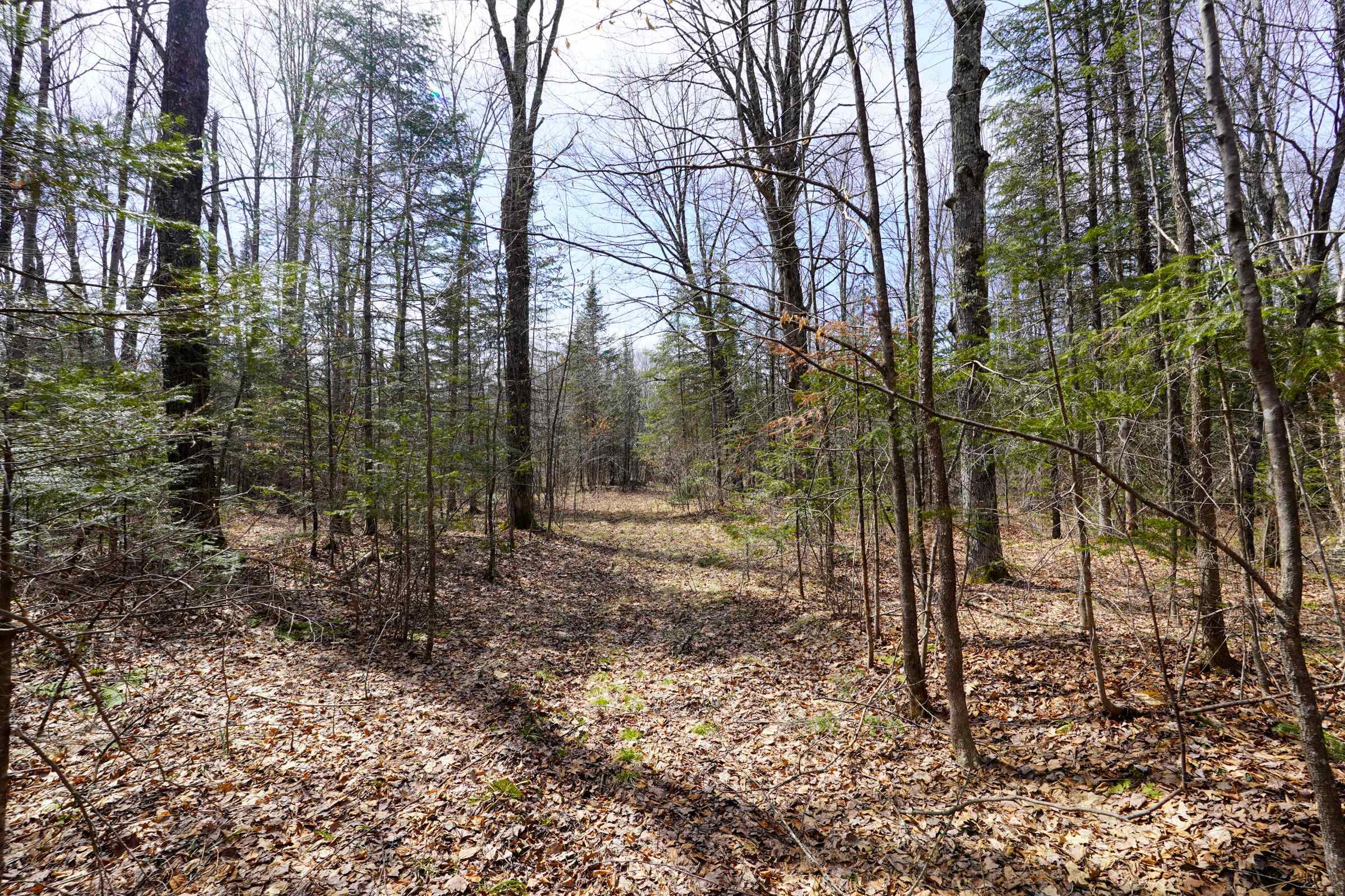 N8584 County Road E Property Photo 24