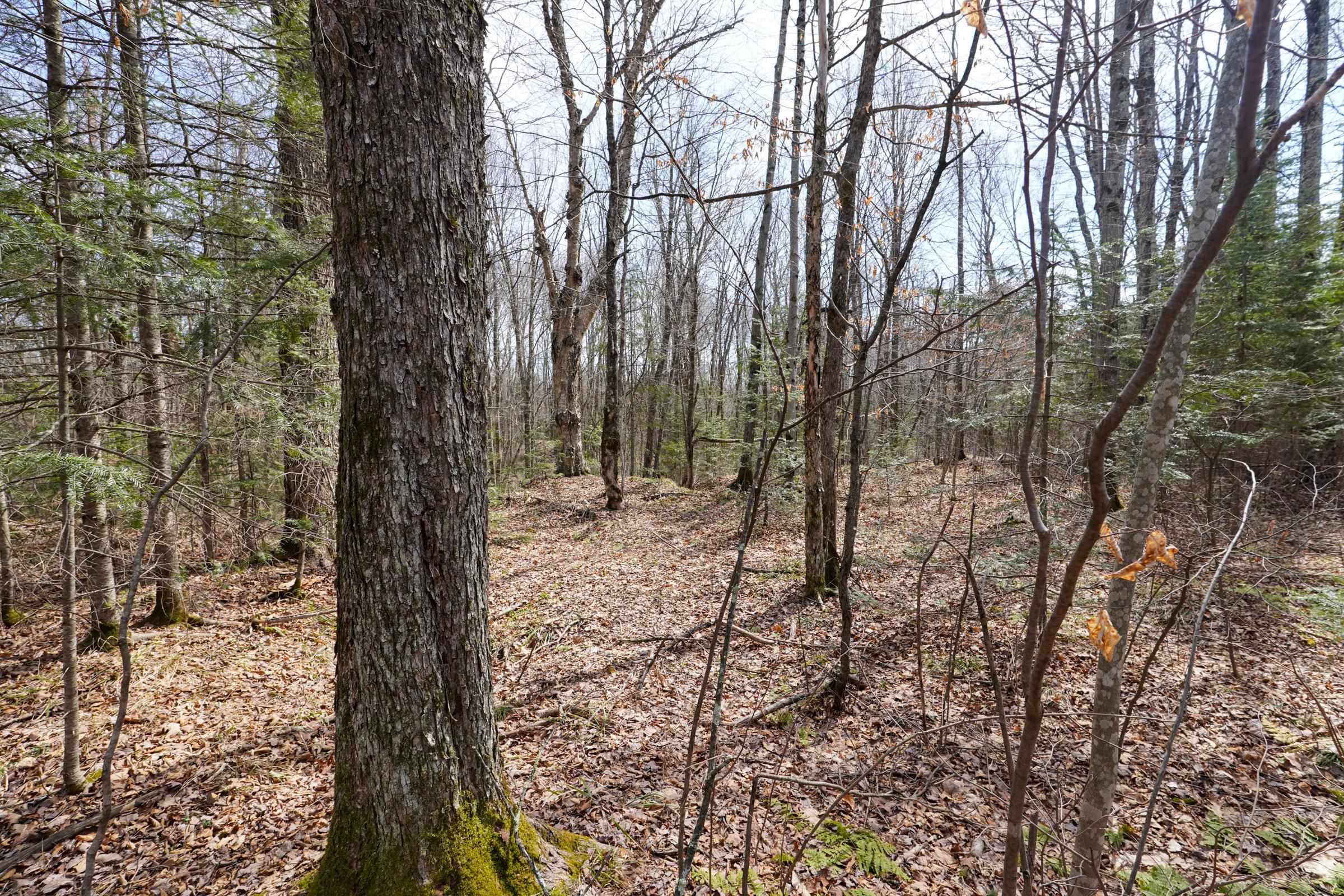 N8584 County Road E Property Photo 25